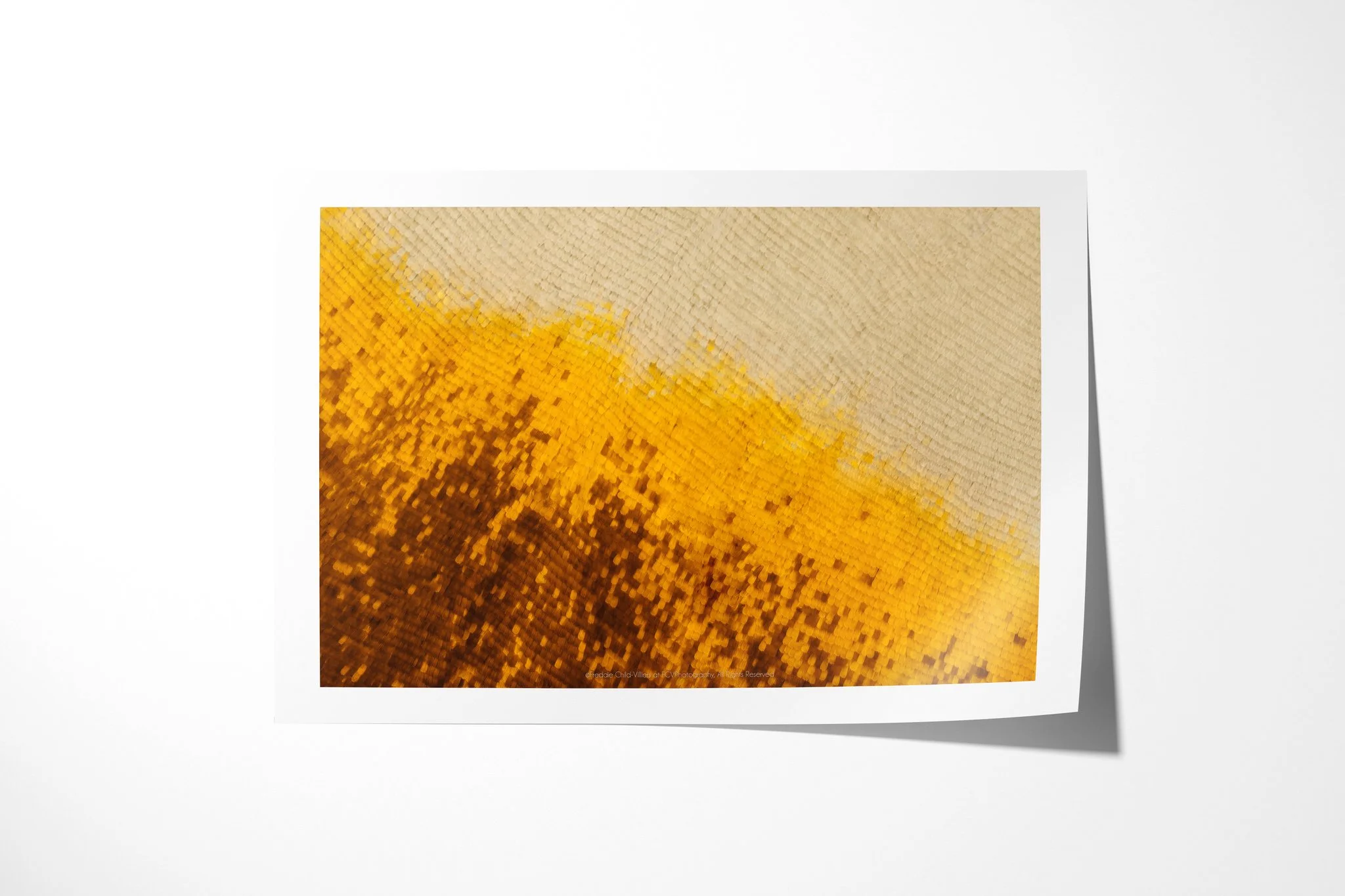 Fine art paper print of Cymothoe beckeri (Male) - Cymothoe Tribe, showing a diagonal gradient of brown, amber, yellow and cream across tightly aligned wing scales.