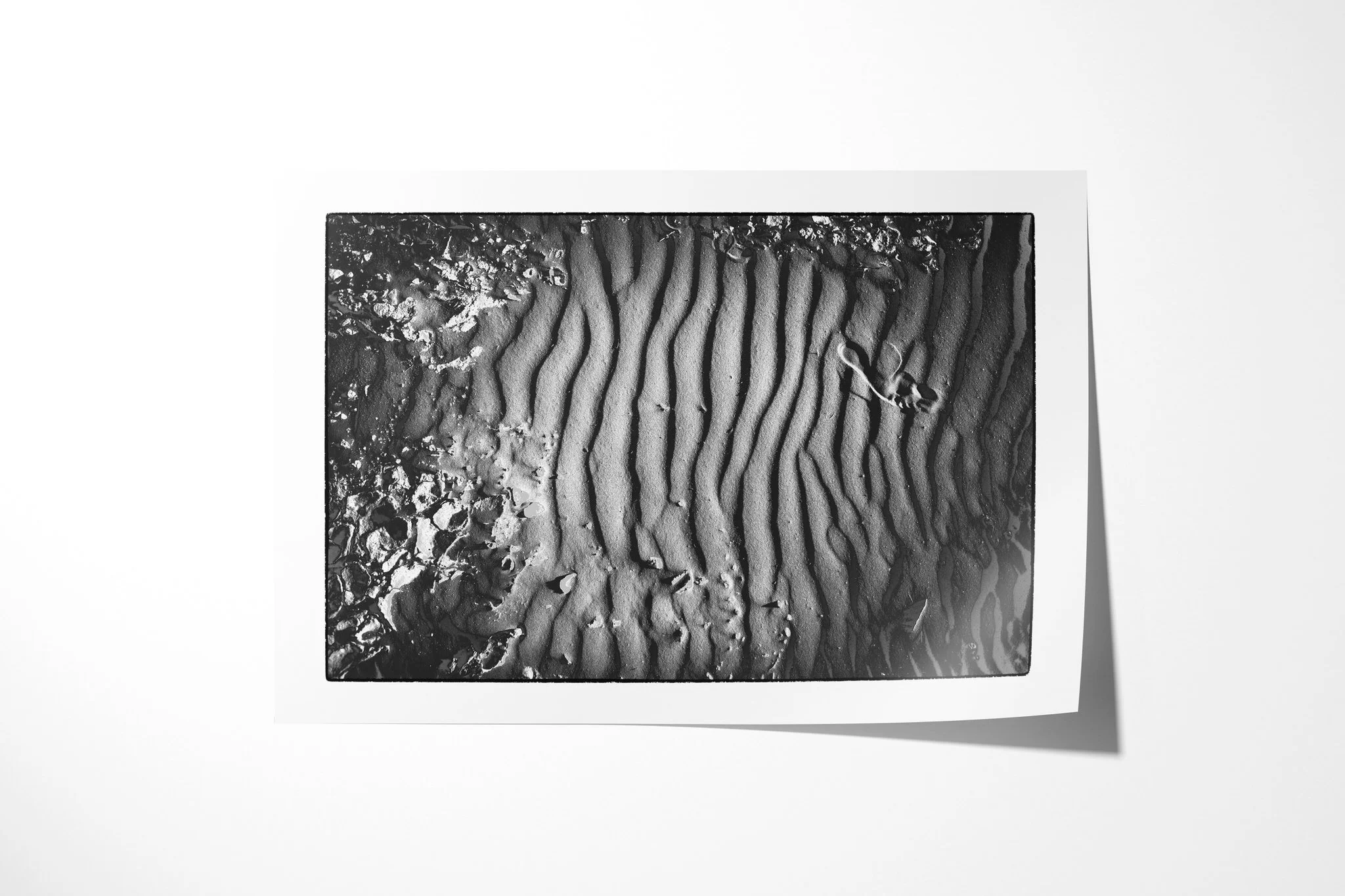 Fine art paper print of Khamsin VII, showing a vertical band of sand ripples bordered by broken crust, with a small curled plant fragment.