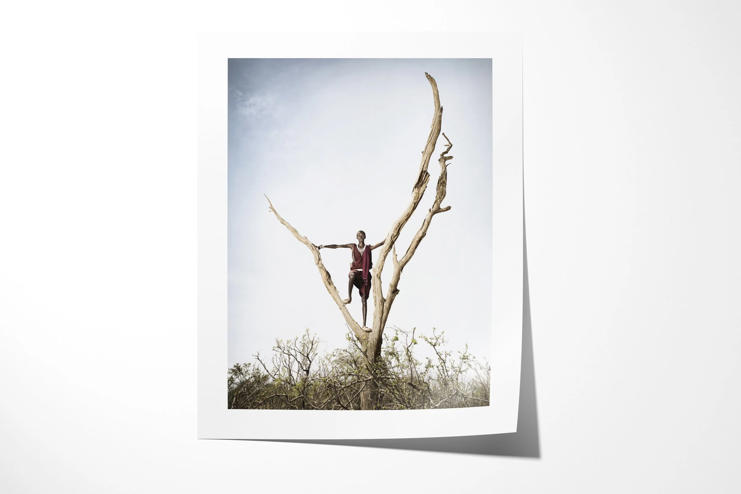 Fine art paper print of Moyakwea, showing a Maasai herder perched high in the branches of a bare tree above thorn scrub.