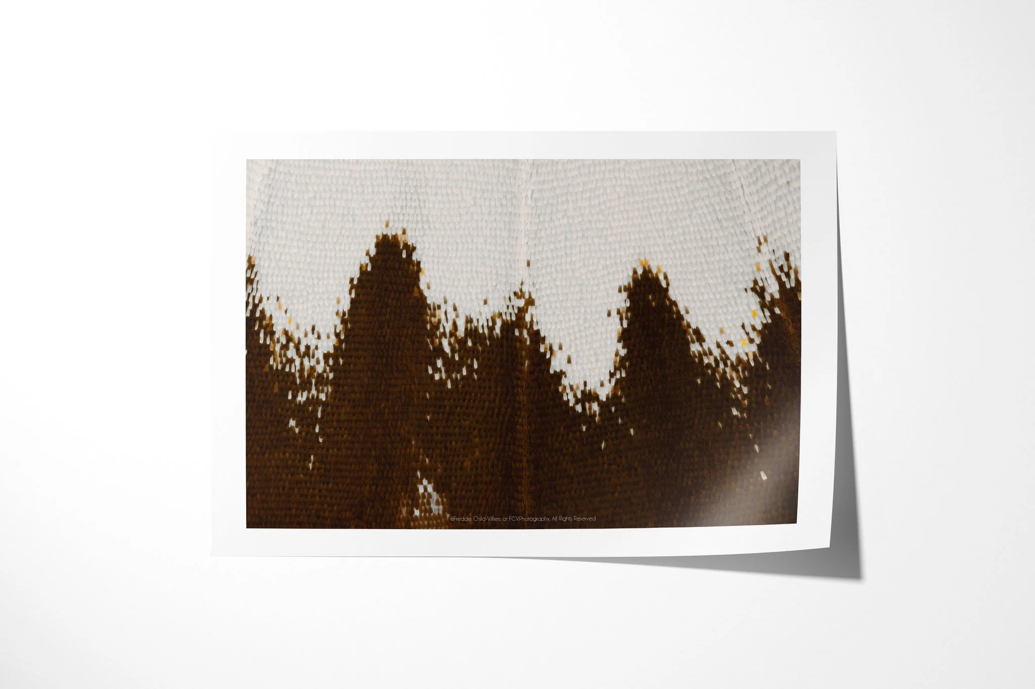 Fine art paper print of Papilio gallienus - Papilionini Tribe VI, showing dark brown pointed forms rising into pale white wing scales around a narrow central vein.