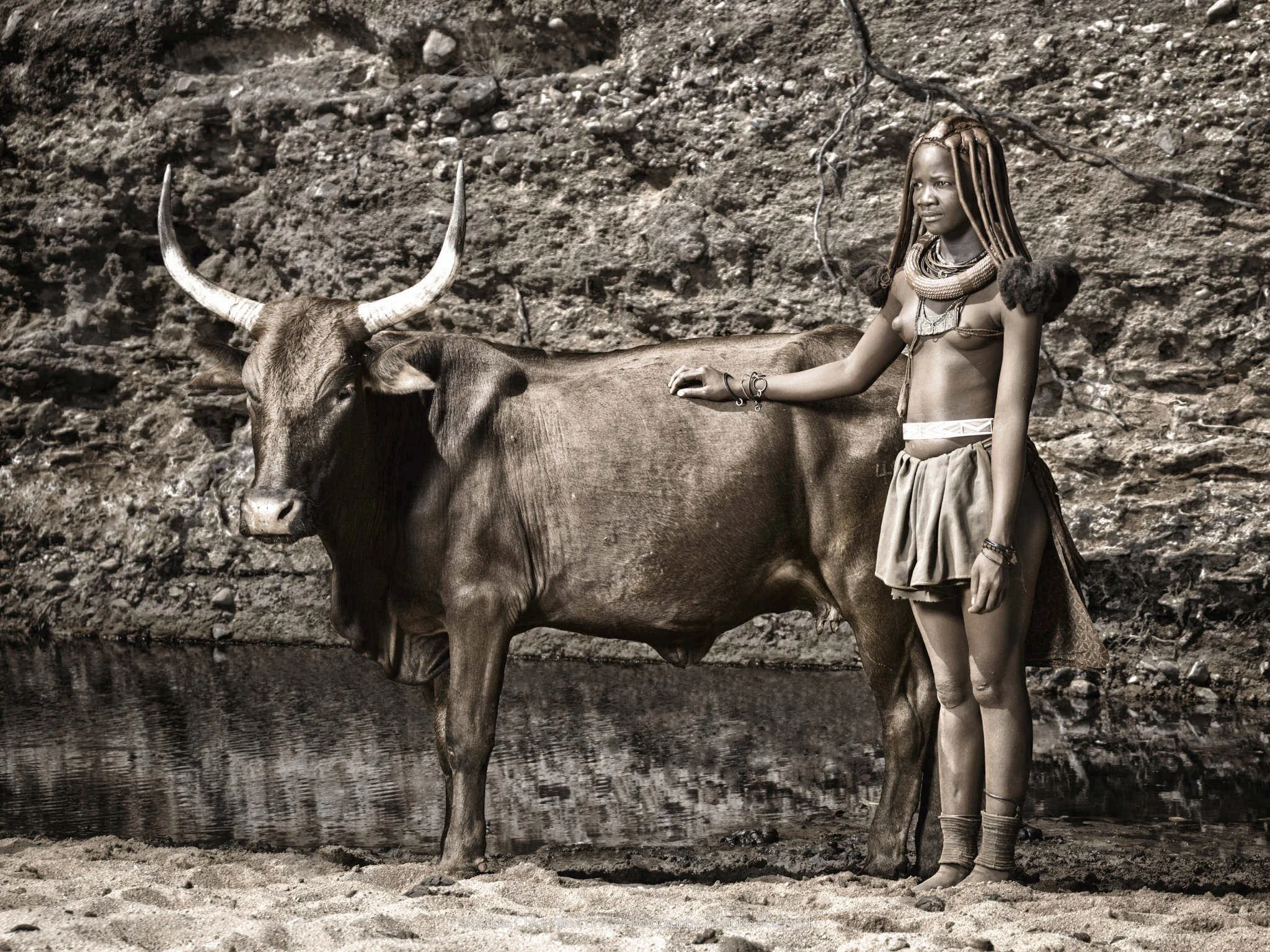 MBunengo standing beside a Nguni bull at a watering hole.