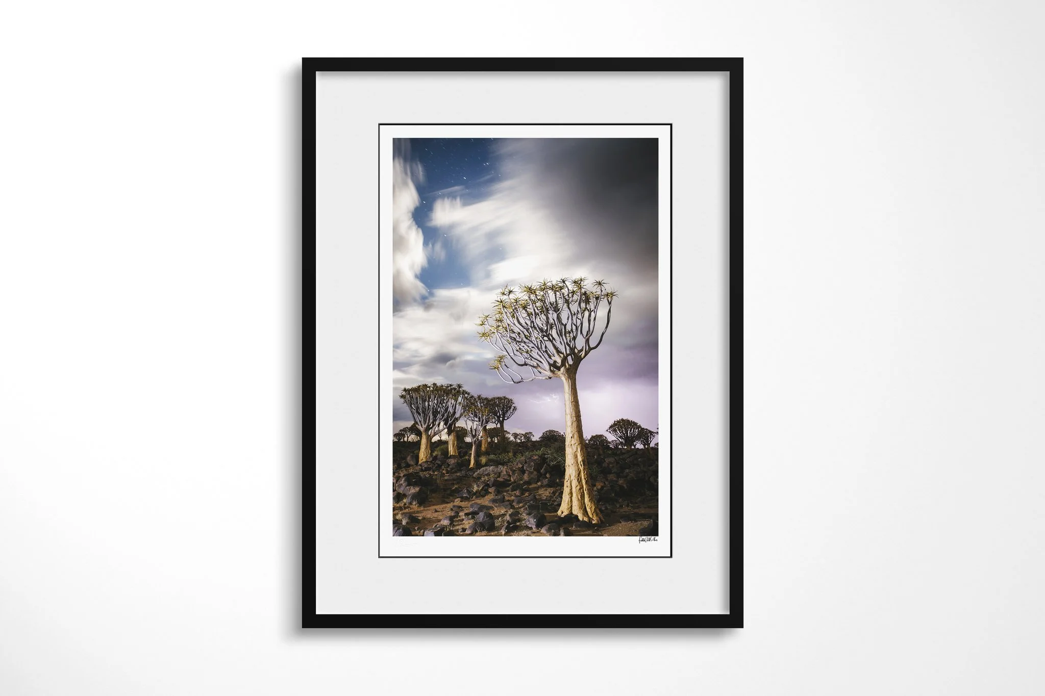 Black-framed fine art print of The Quiver Tree with a white mount, showing a tall quiver tree on rocky ground beneath sweeping pale clouds, with smaller quiver trees in the background.