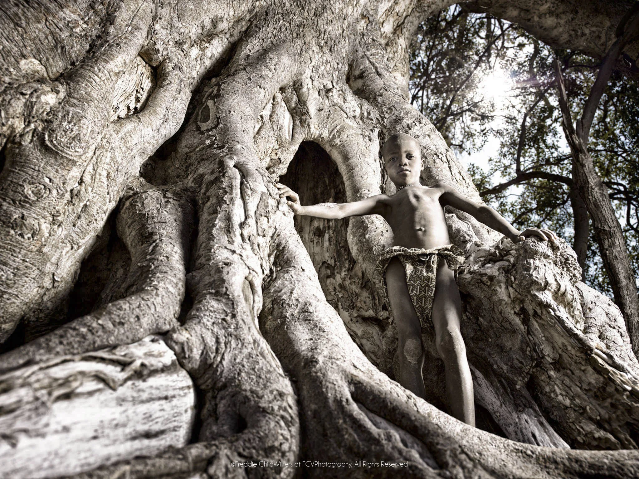 Kakoke standing inside the folded roots and hollow trunk of an immense fig tree.