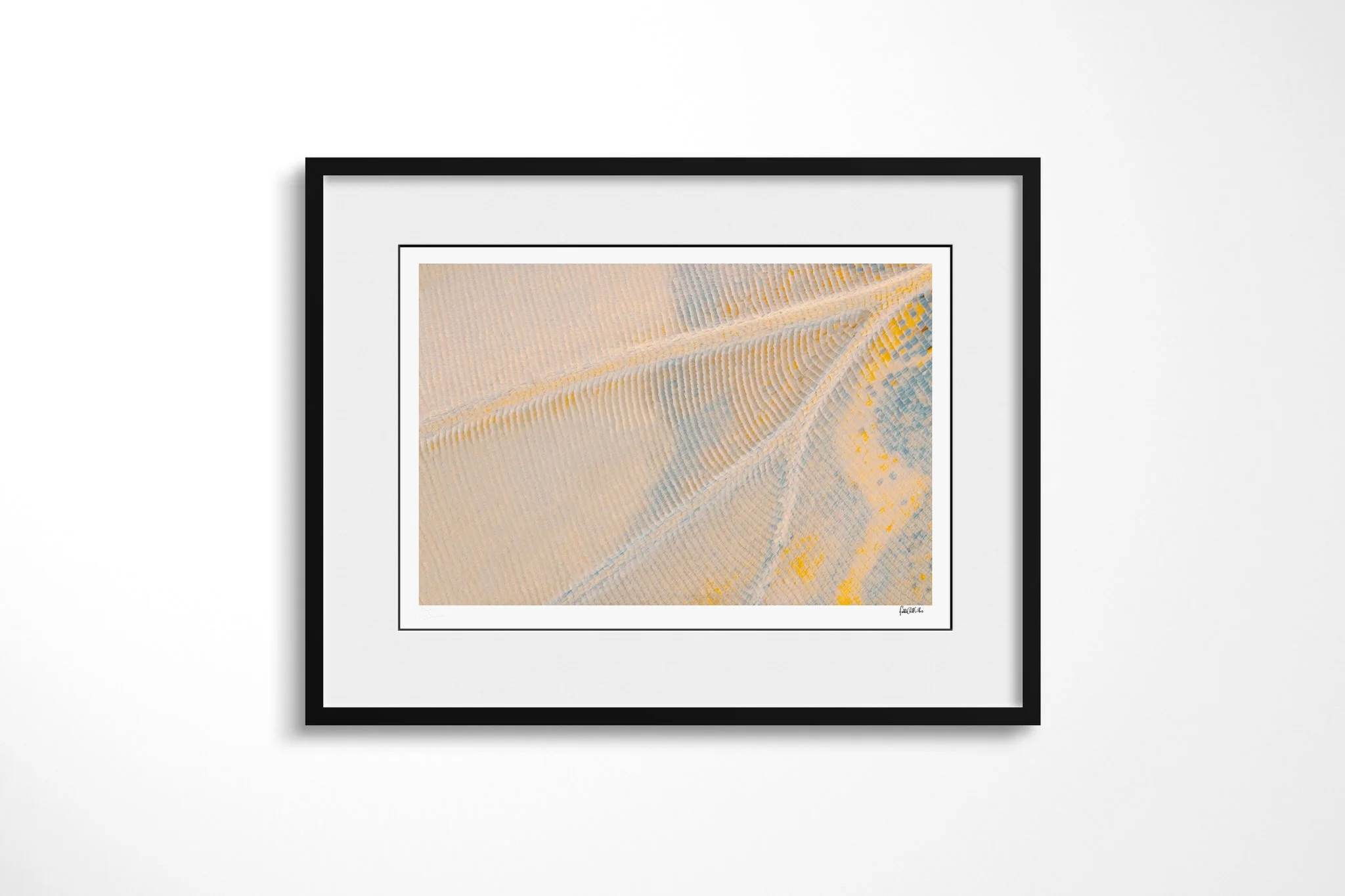 Black-framed presentation of Cymothoe beckeri (Male) - Cymothoe Tribe II with a white mount, showing pale cream and blue-grey wing scales following a branching white vein with scattered amber flecks.