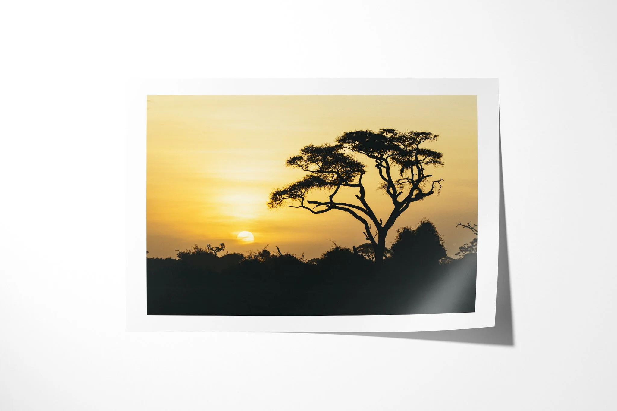 African Sun presented as an unframed fine art paper print, depicting an umbrella-shaped tree and low scrub silhouetted against an amber sunset, with the sun resting near the horizon.