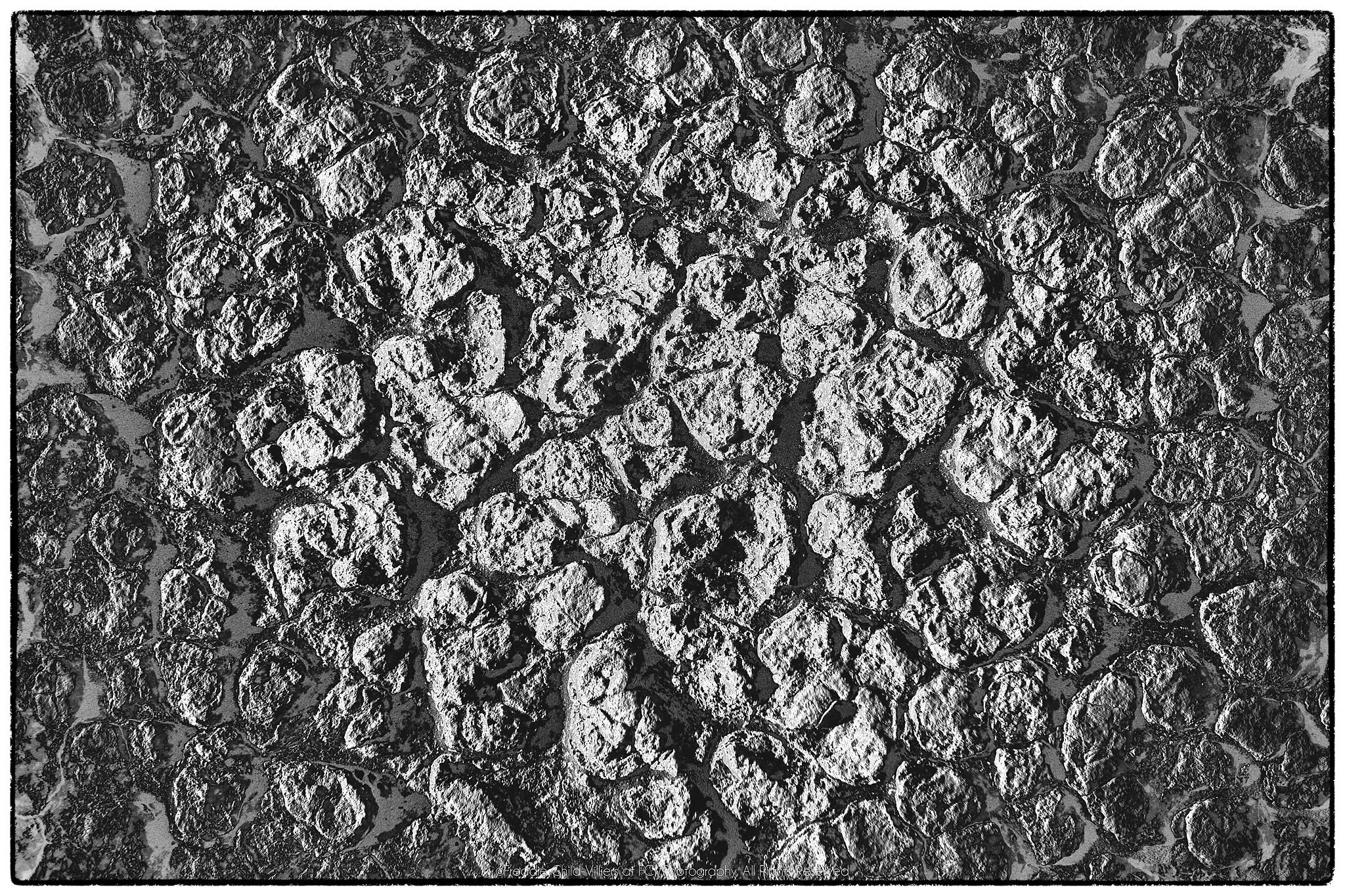 Repeating rounded cells of dried, fractured ground with raised edges and deep dark creases.