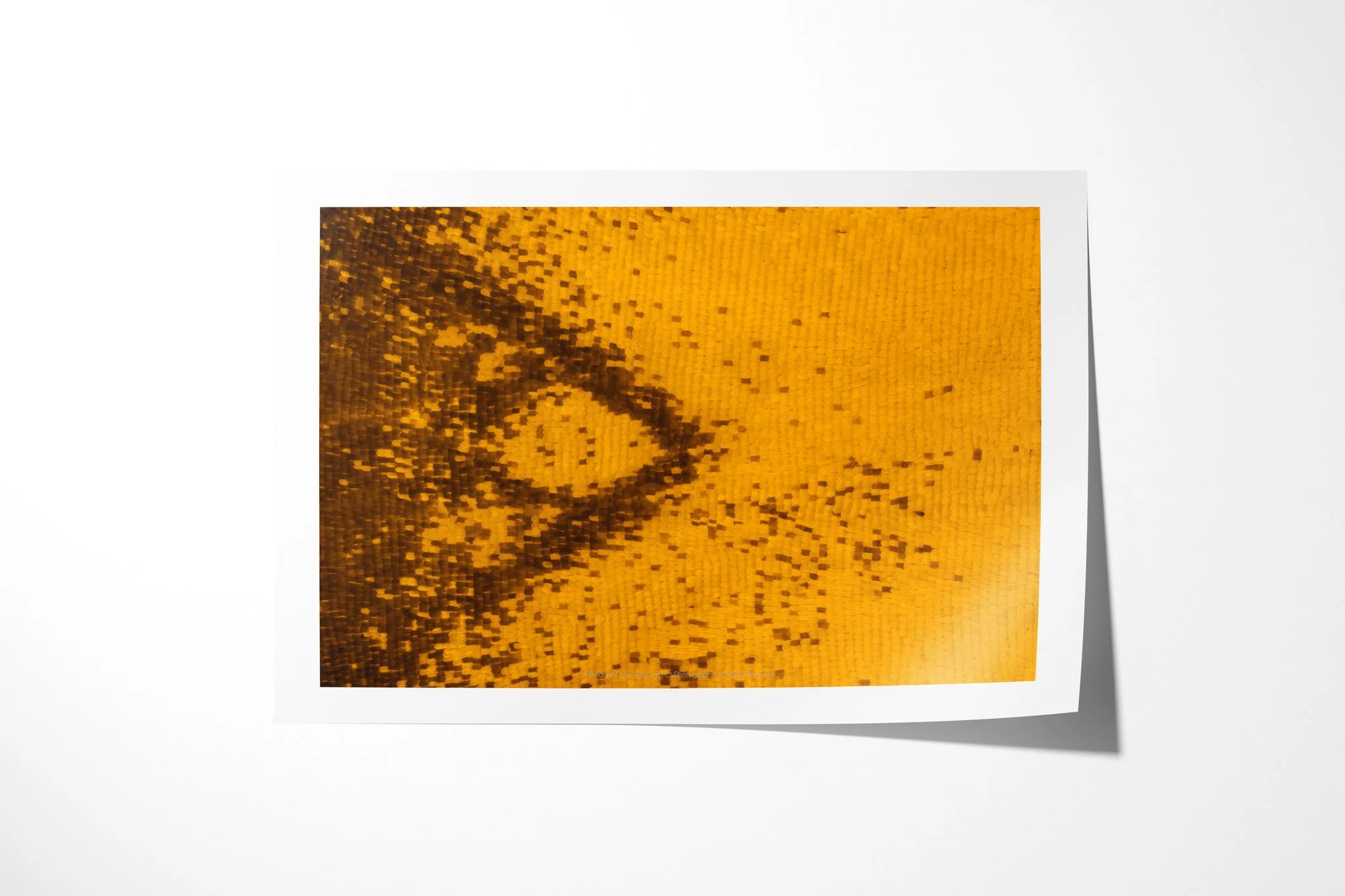 Fine art paper print of Cymothoe beckeri (Male) - Cymothoe Tribe V, showing an amber-yellow scale field with a partial dark brown loop and scattered pigment blocks.