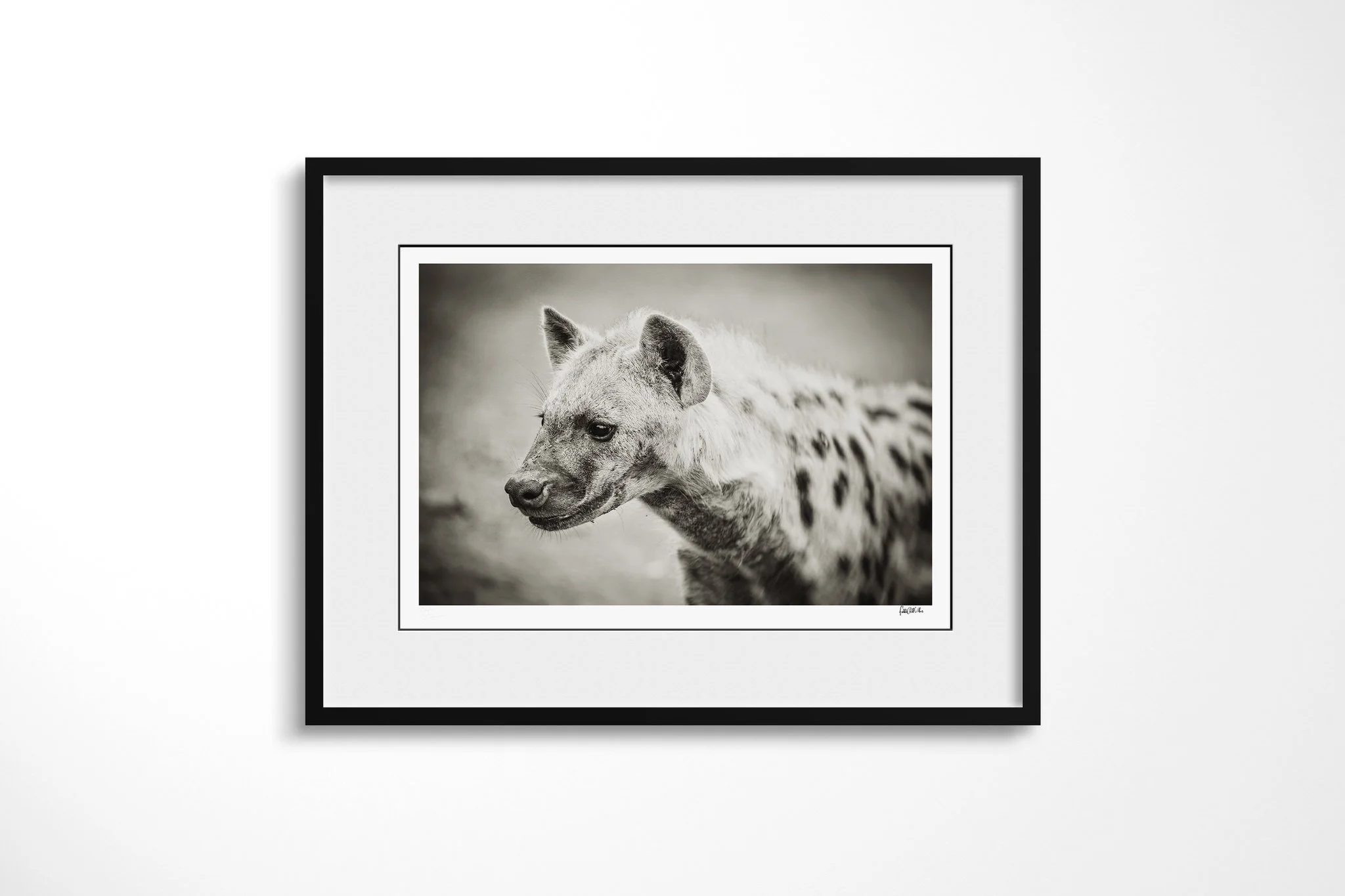 Framed presentation of Hyena II with a white mount and black frame, showing spotted hyena in side profile, with rounded ear, broad muzzle and sloping back visible.