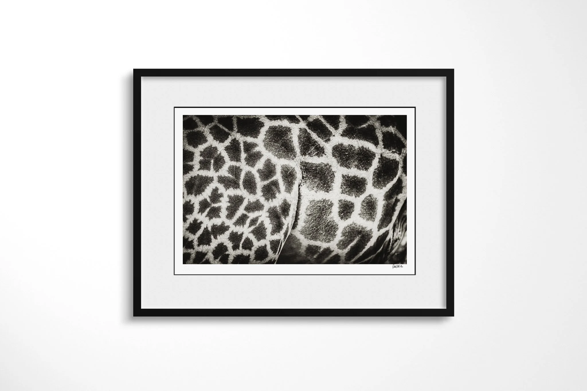 Framed presentation of Patchwork with a white mount and black frame, showing close crop of a giraffe’s polygonal coat pattern across the shoulder and lower neck.