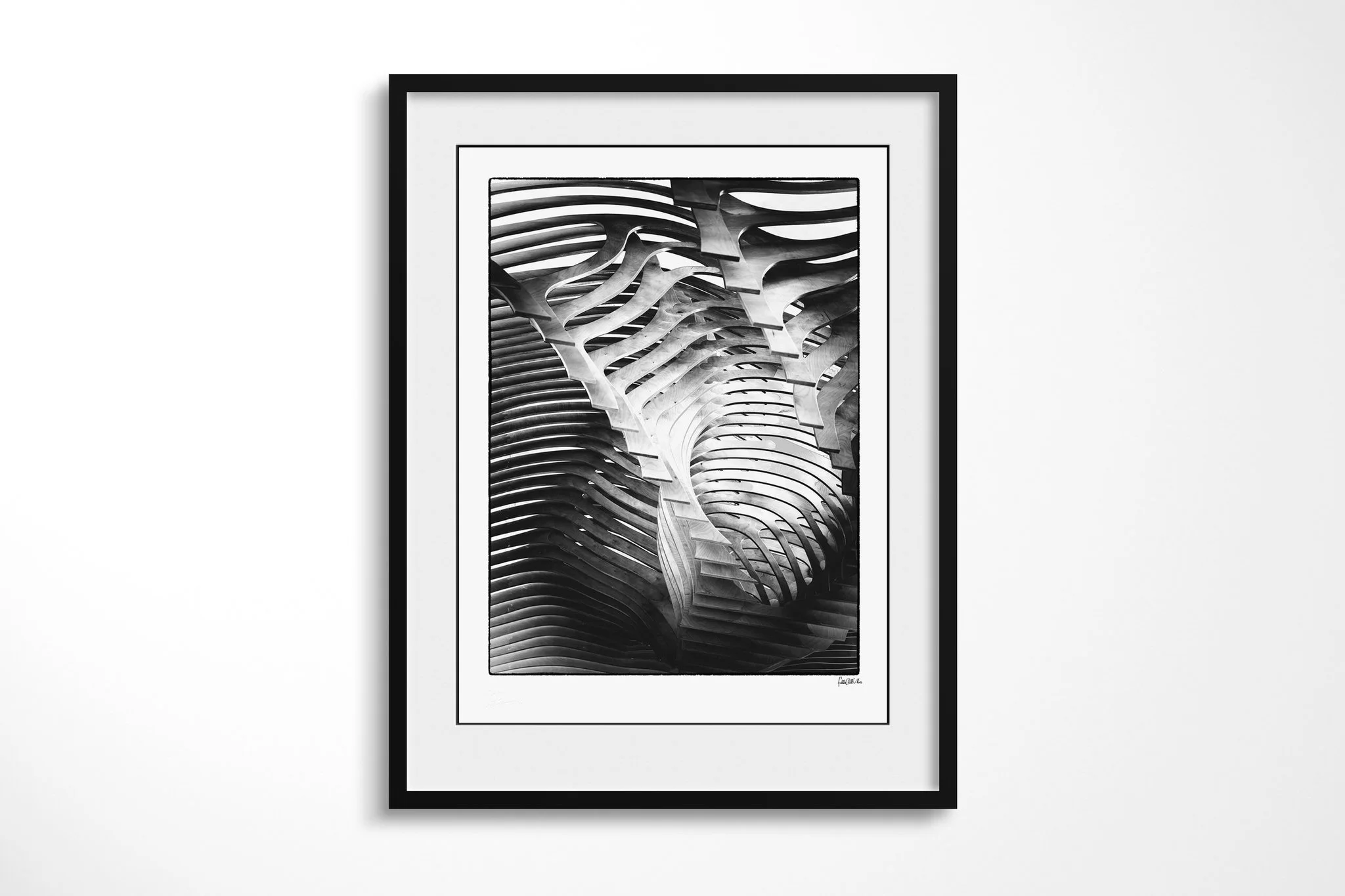 Black-framed presentation of Skeleton with a wide white mount, featuring repeating curved ribs and slatted bands forming a symmetrical high-contrast structure.