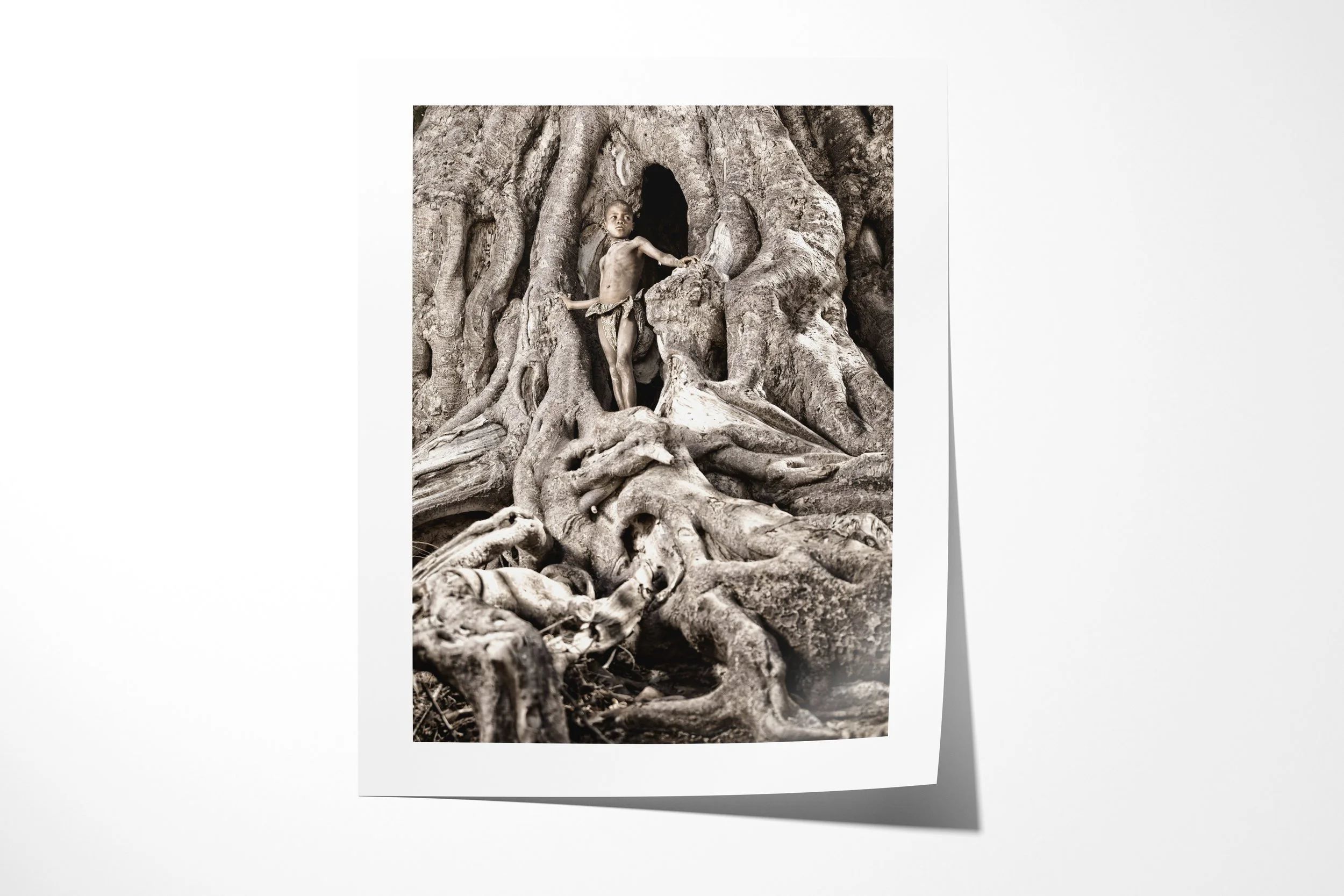 Fine art paper print of Kakoke II, showing Kakoke framed by a dark opening among the exposed roots of an old fig tree.