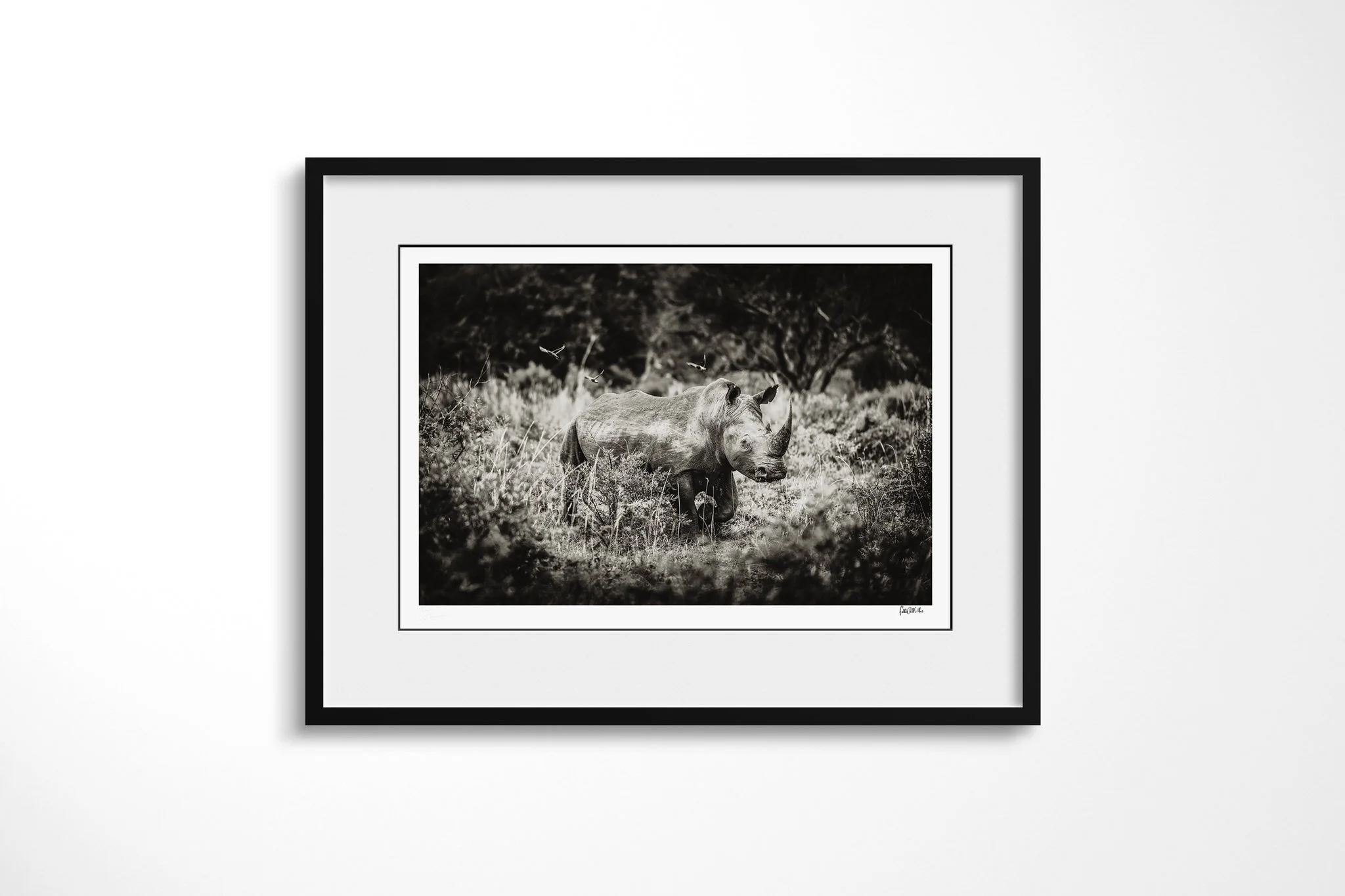 Framed presentation of Lone Rhino with a white mount and black frame, showing solitary rhinoceros standing among bush and grass, its head raised and two horns visible.