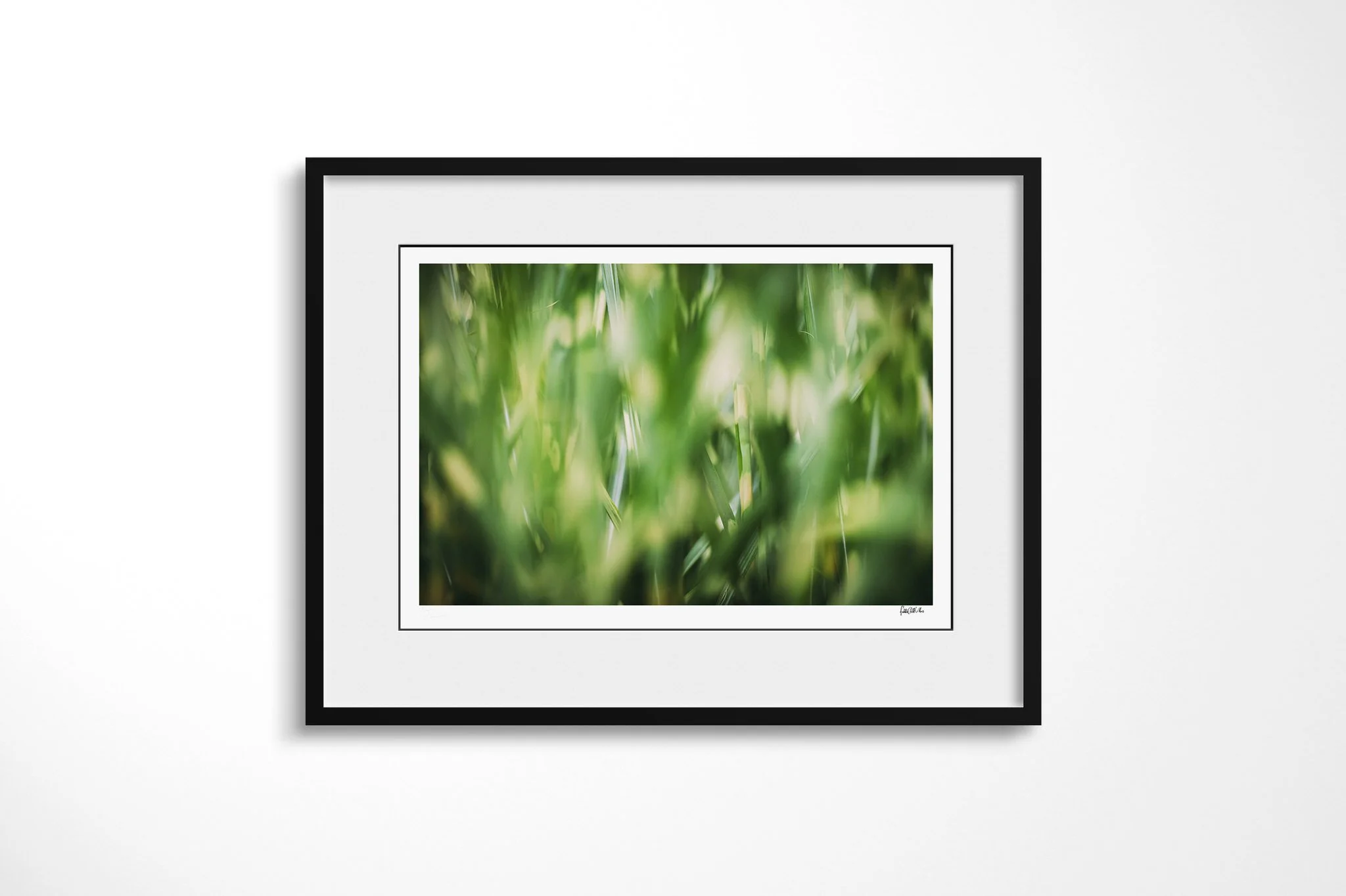 Reeds presented in a black frame with a white mount, depicting green reeds blurred into luminous vertical strokes, with small areas of sharp leaf detail among soft light and shadow.