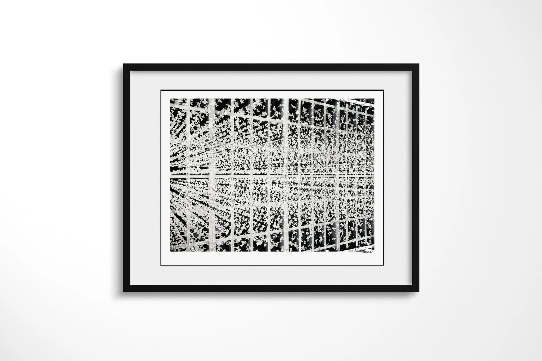 Black-framed fine art print of Butterflies with a white mount, showing hundreds of pale butterfly-shaped elements suspended on wires across a dark architectural grid.
