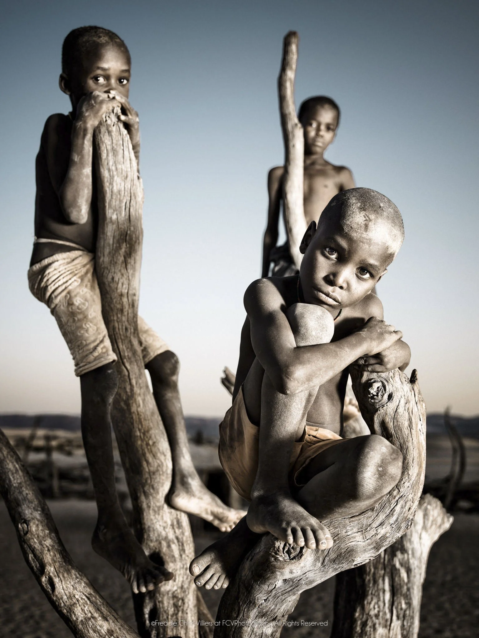 Turimuje and friends, three Himba boys gathered closely on the branches of a leafless tree.