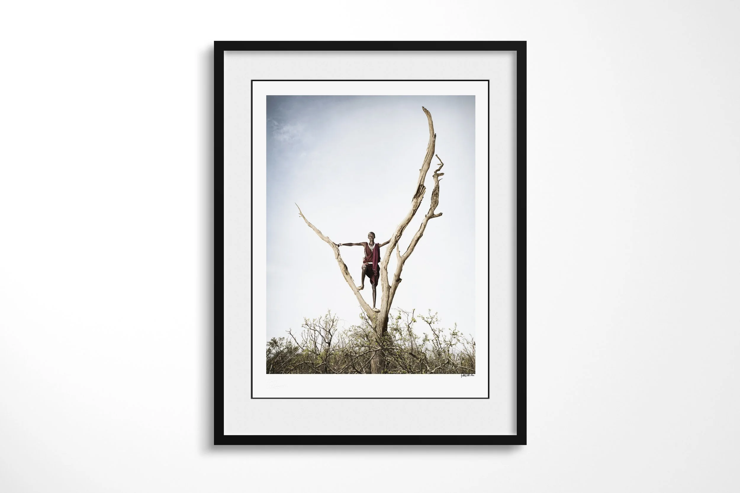 Framed presentation of Moyakwea in a black frame and white mount, showing a Maasai herder perched high in the branches of a bare tree above thorn scrub.