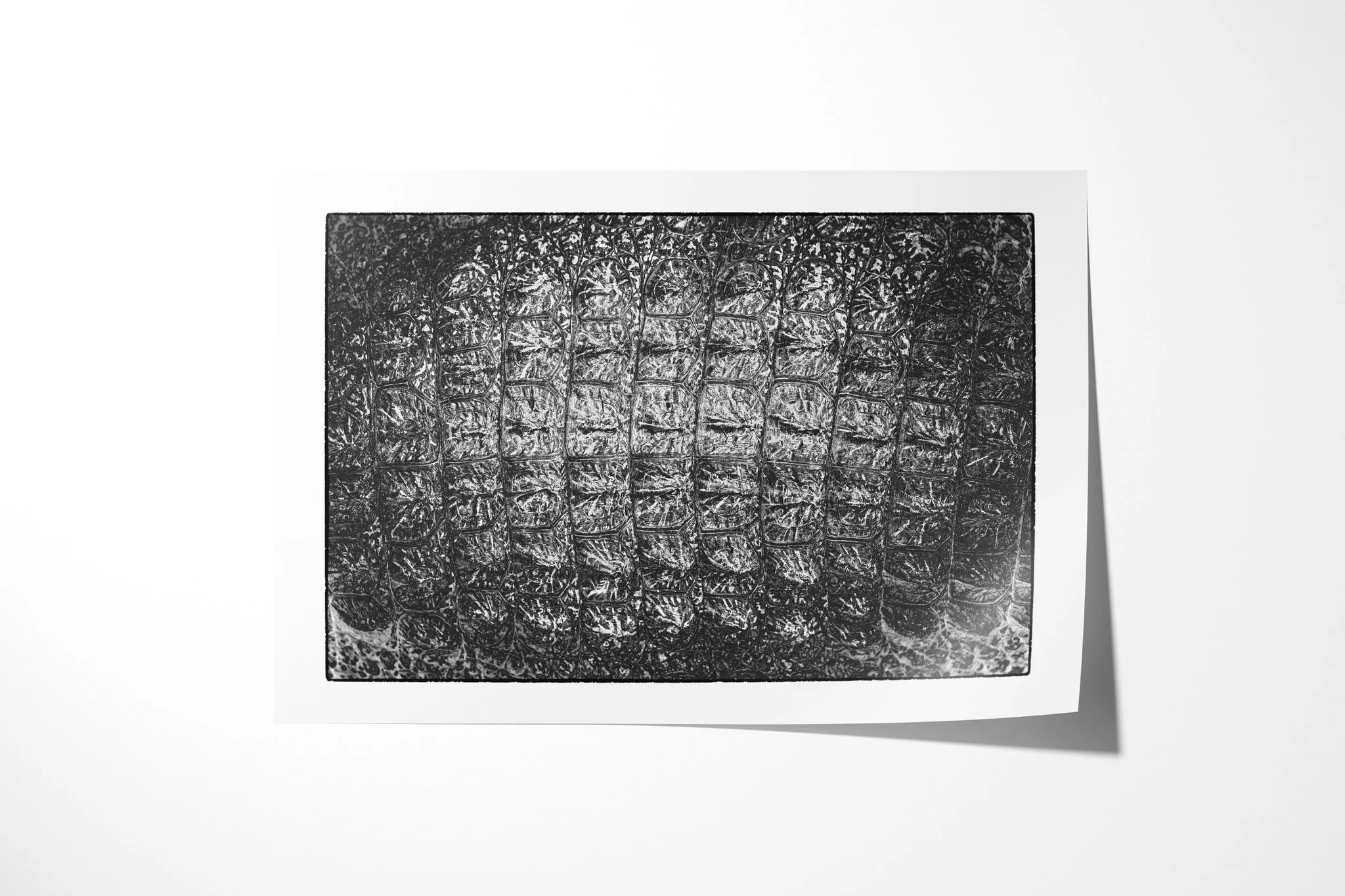 Thick Skinned presented as an unframed fine art paper print, showing a grid of compressed translucent containers with crumpled, reflective surfaces.