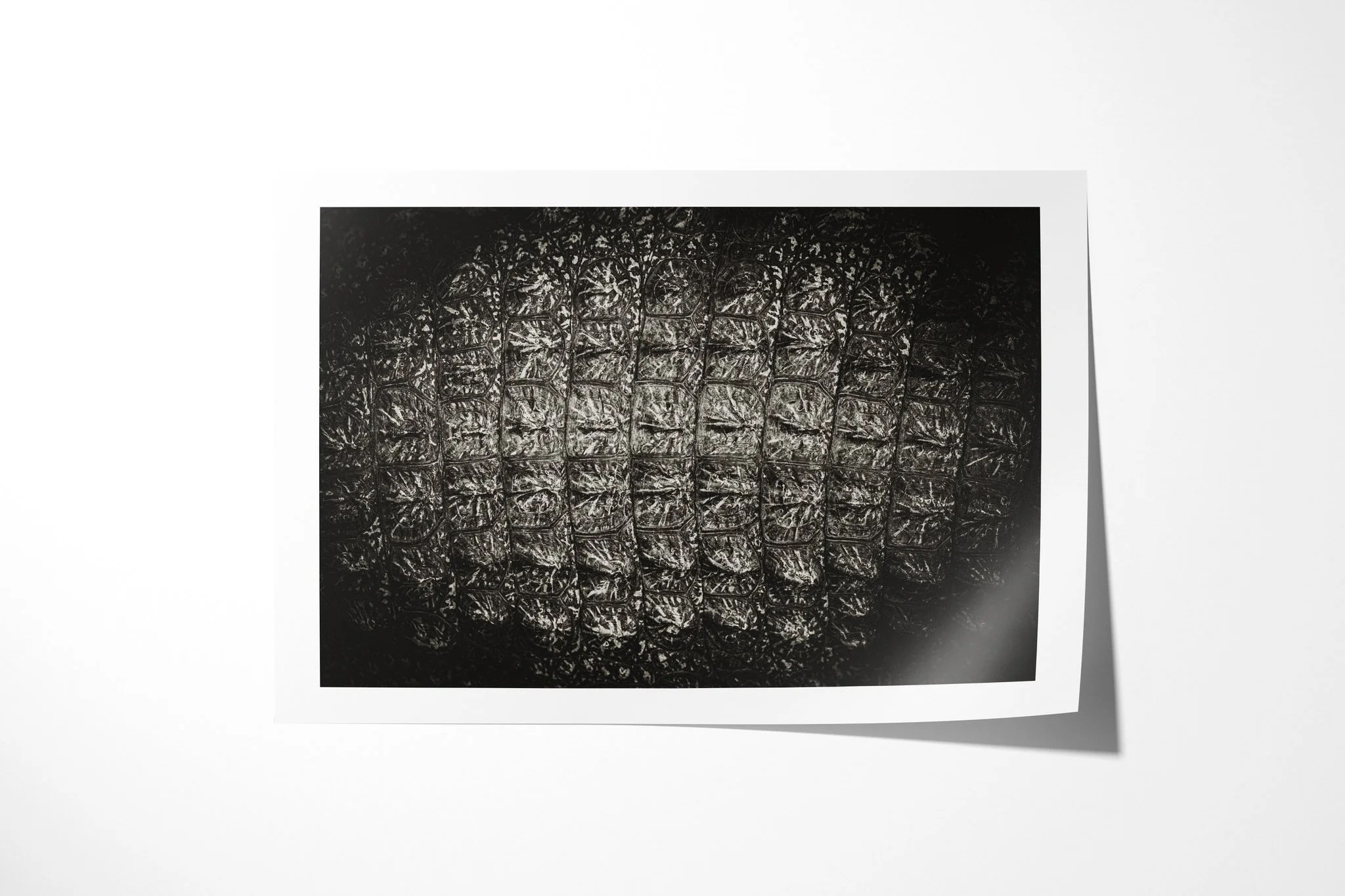 Fine art paper print of Thick Skinned, showing extreme close view of overlapping crocodile scutes forming an irregular ridged pattern.