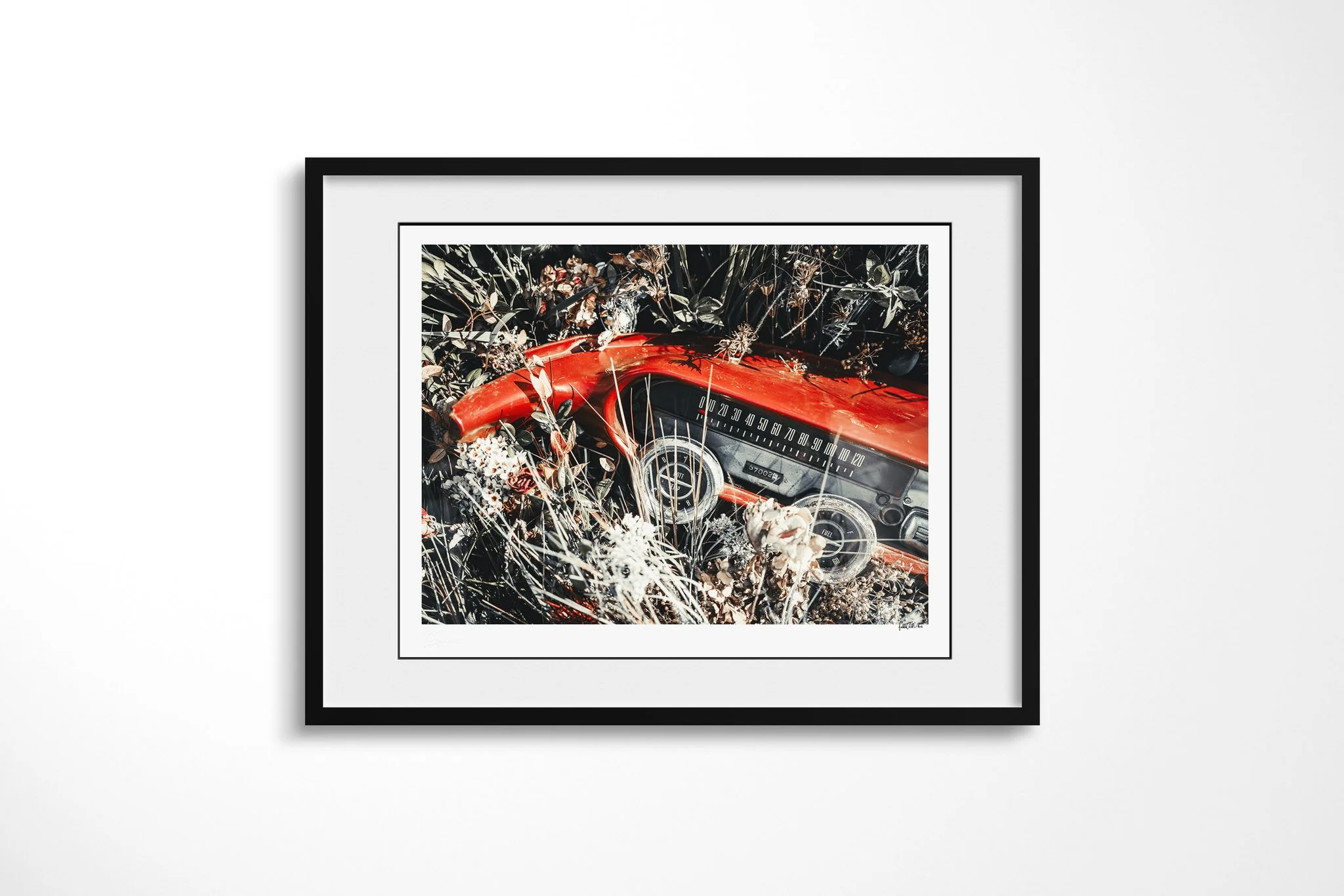 Framed presentation of Dash in a black frame and white mount, showing a red vintage vehicle dashboard and gauges partly covered by dry stems, leaves and faded flowers.
