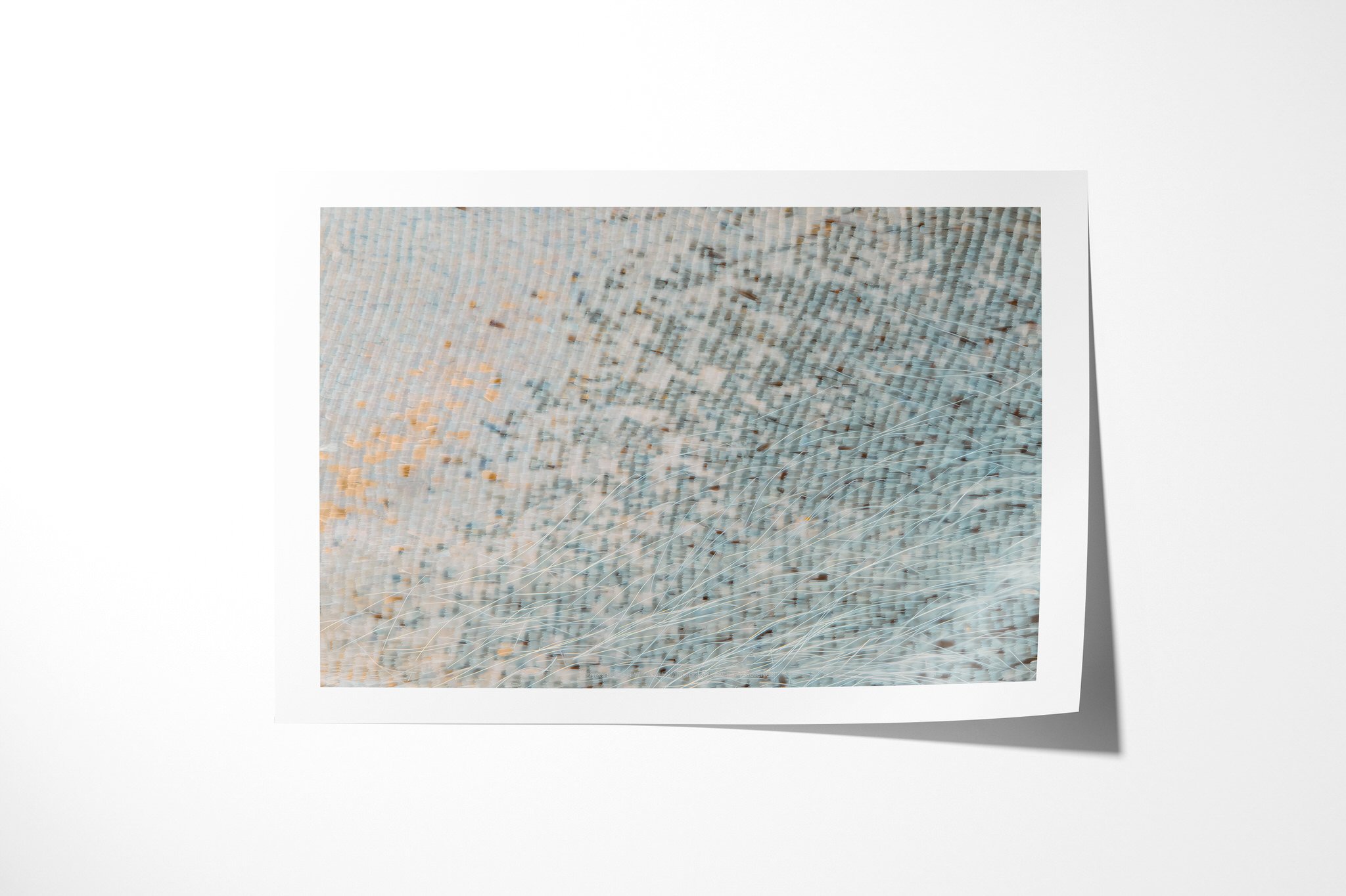 Fine art paper print of Cymothoe beckeri - Cymothoe Tribe VII, showing pale blue and cool grey wing scales with faint diagonal lines and fine hair-like fibres.