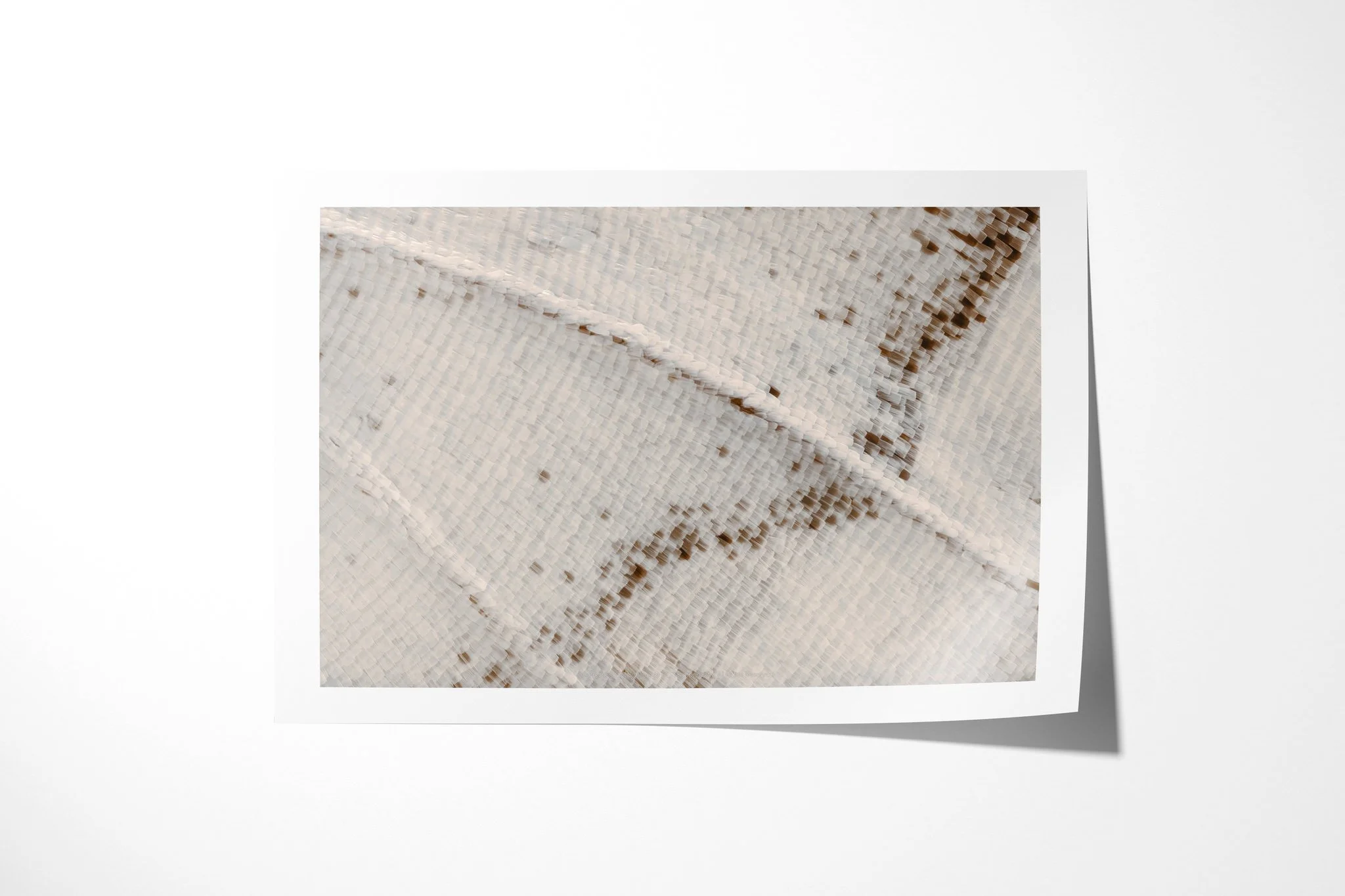 Fine art paper print of Papilio gallienus - Papilionini Tribe IV, showing ivory and pale blue-grey wing scales crossed by a raised diagonal vein and sparse brown flecks.