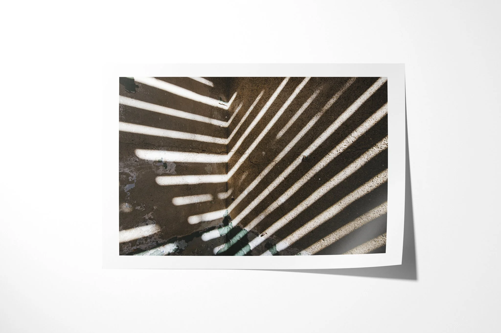 Unframed fine art paper print of Streak, showing diagonal bands of sunlight and shadow crossing a damaged interior, with cracked surfaces and a small green plant below.