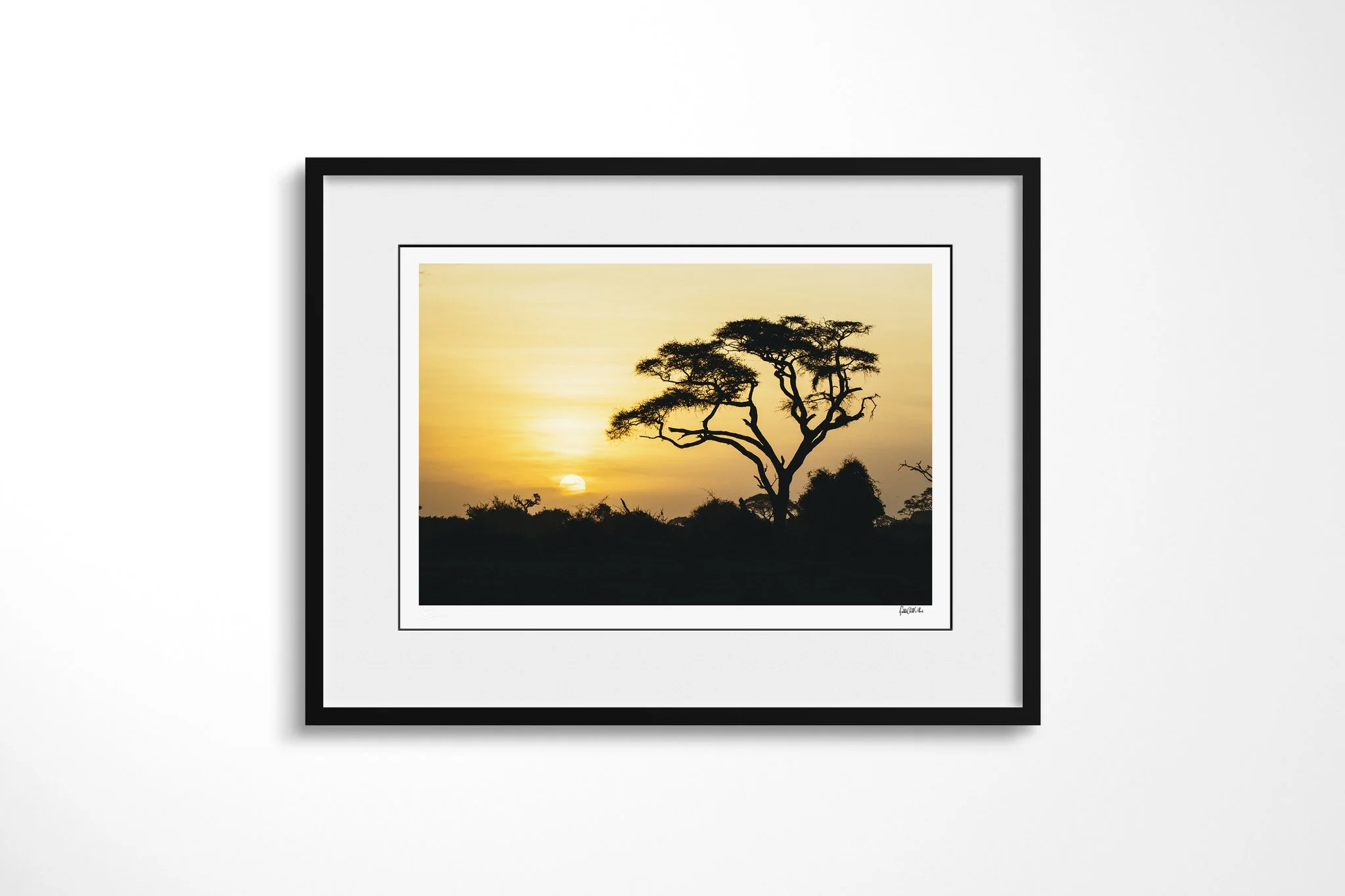 African Sun presented in a black frame with a white mount, depicting an umbrella-shaped tree and low scrub silhouetted against an amber sunset, with the sun resting near the horizon.