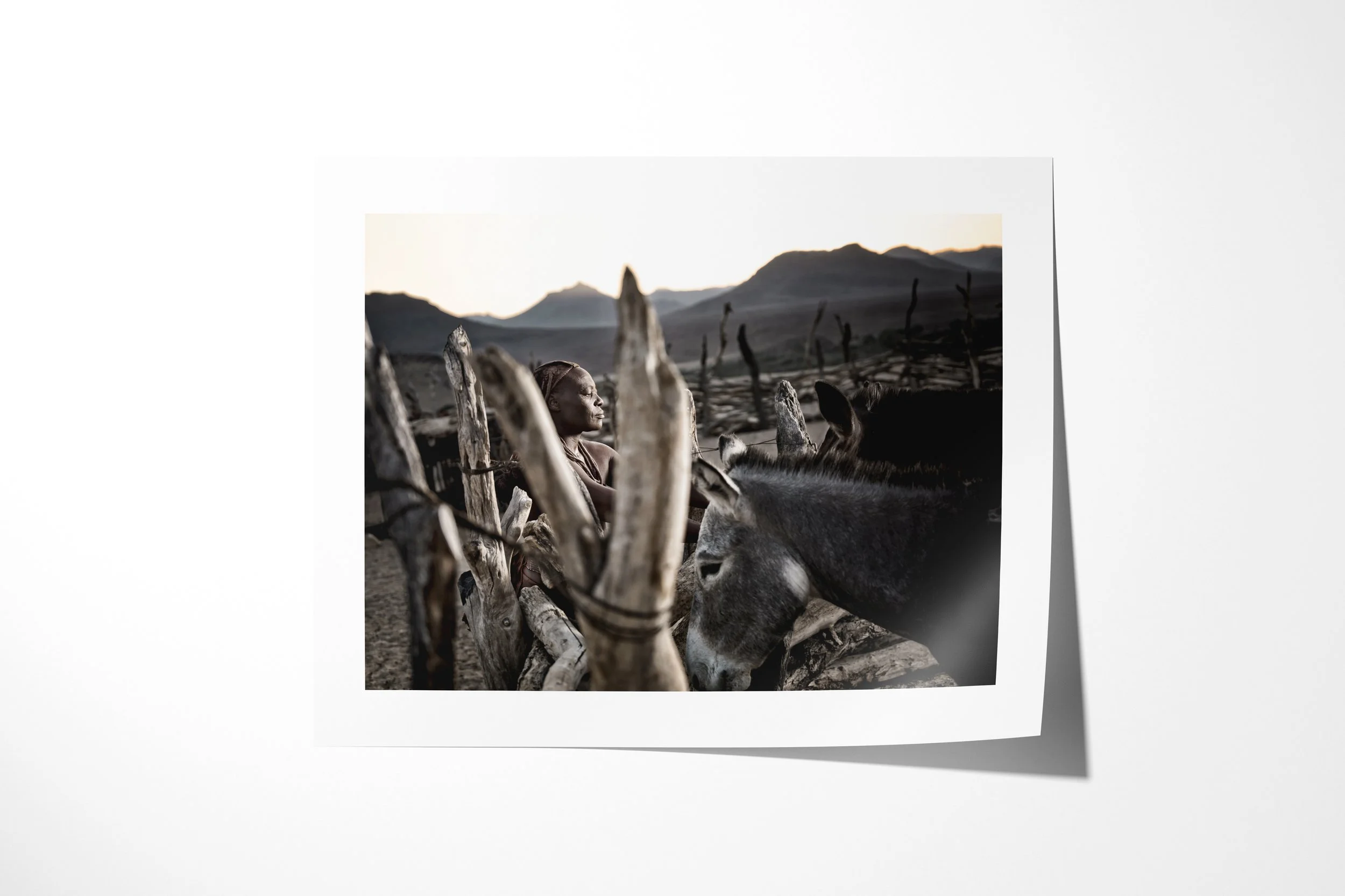 Fine art paper print of Tjihaumwa, showing Tjihaumwa seated among cattle horns and livestock at dusk in a mountain valley.