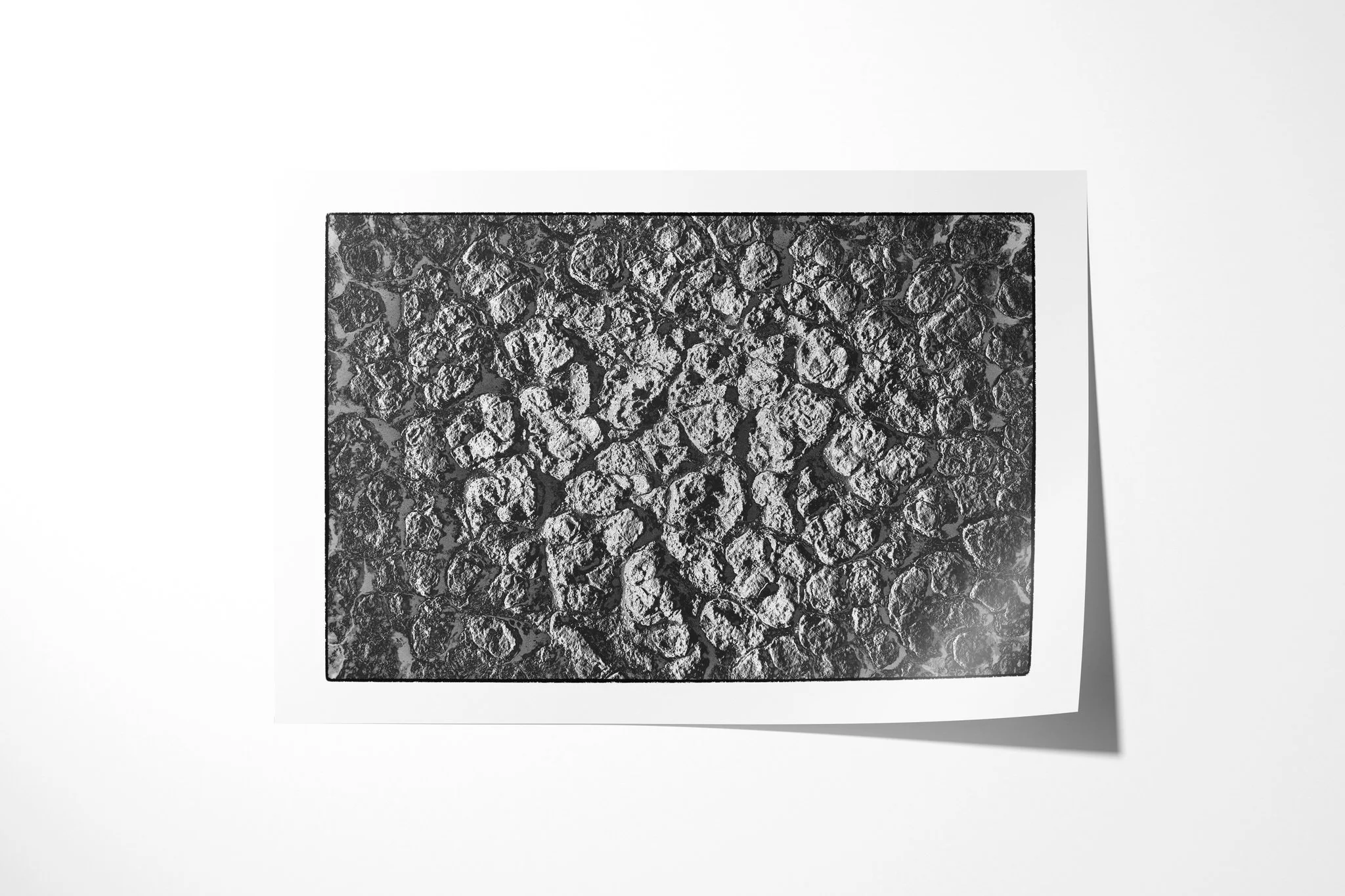 Unframed fine art paper print of Khamsin VI, featuring repeating rounded cells of dried, fractured ground with raised edges and deep dark creases.