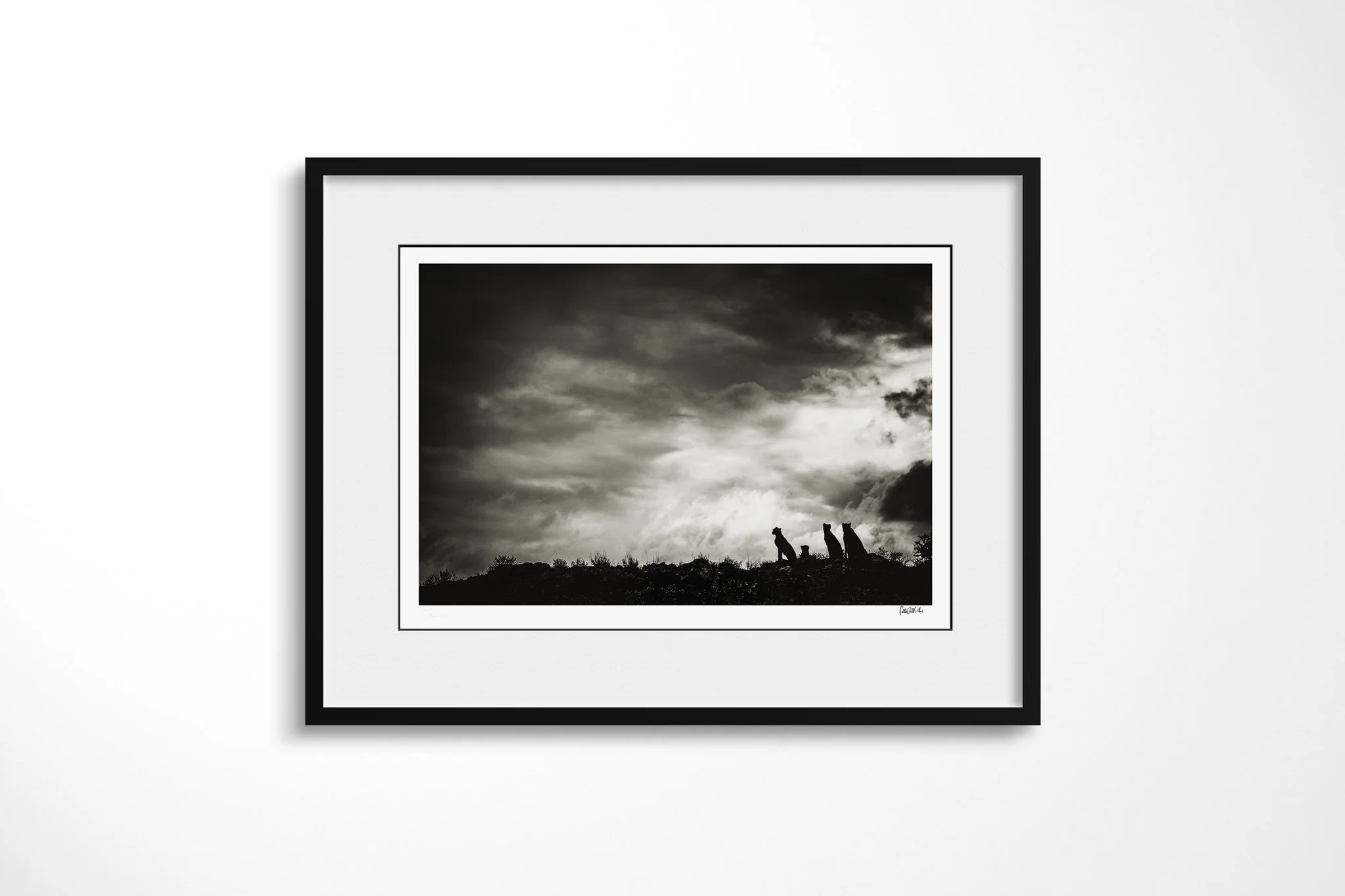 Framed presentation of Doomsday with a white mount and black frame, showing four cheetahs silhouetted along a low ridge beneath a broad sky of layered dark clouds.