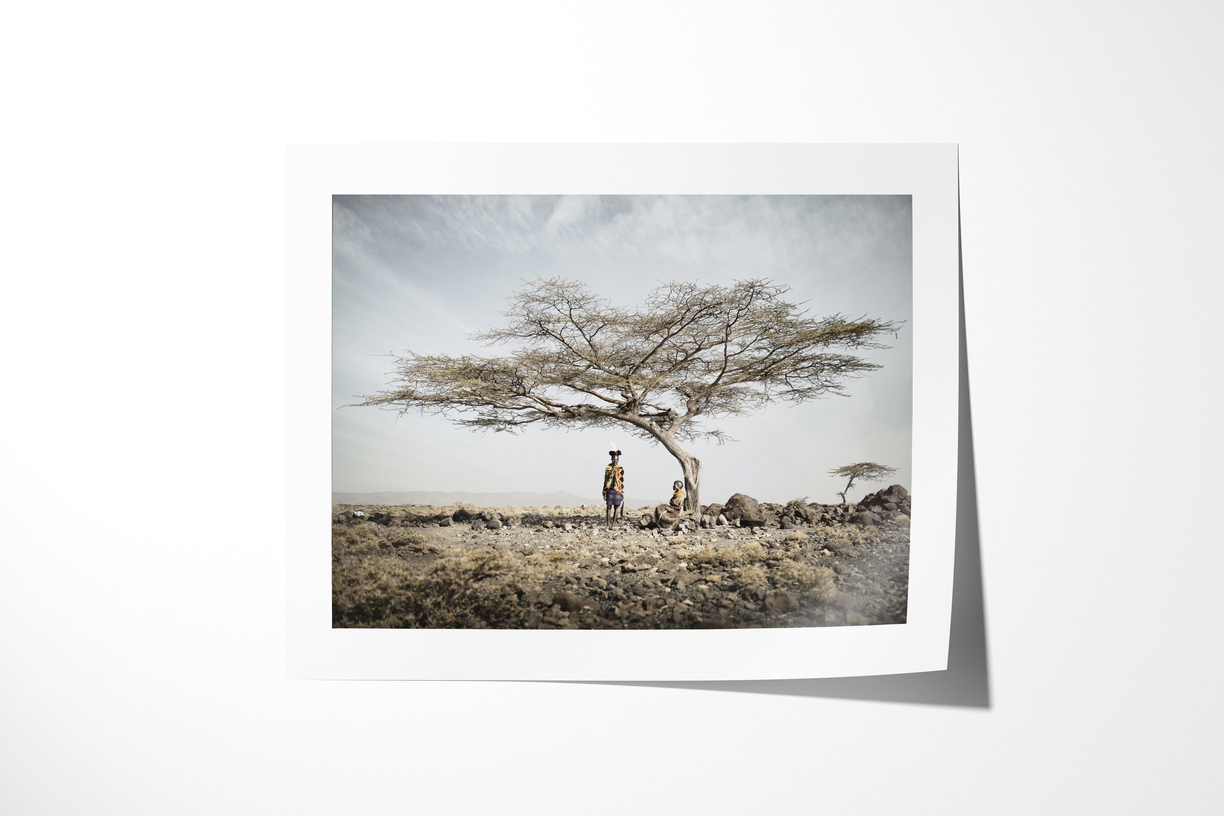 Fine art paper print of Ayapan & Lotilan, showing Ayapan and Lotilan standing beneath a broad acacia in a stony Turkana landscape.