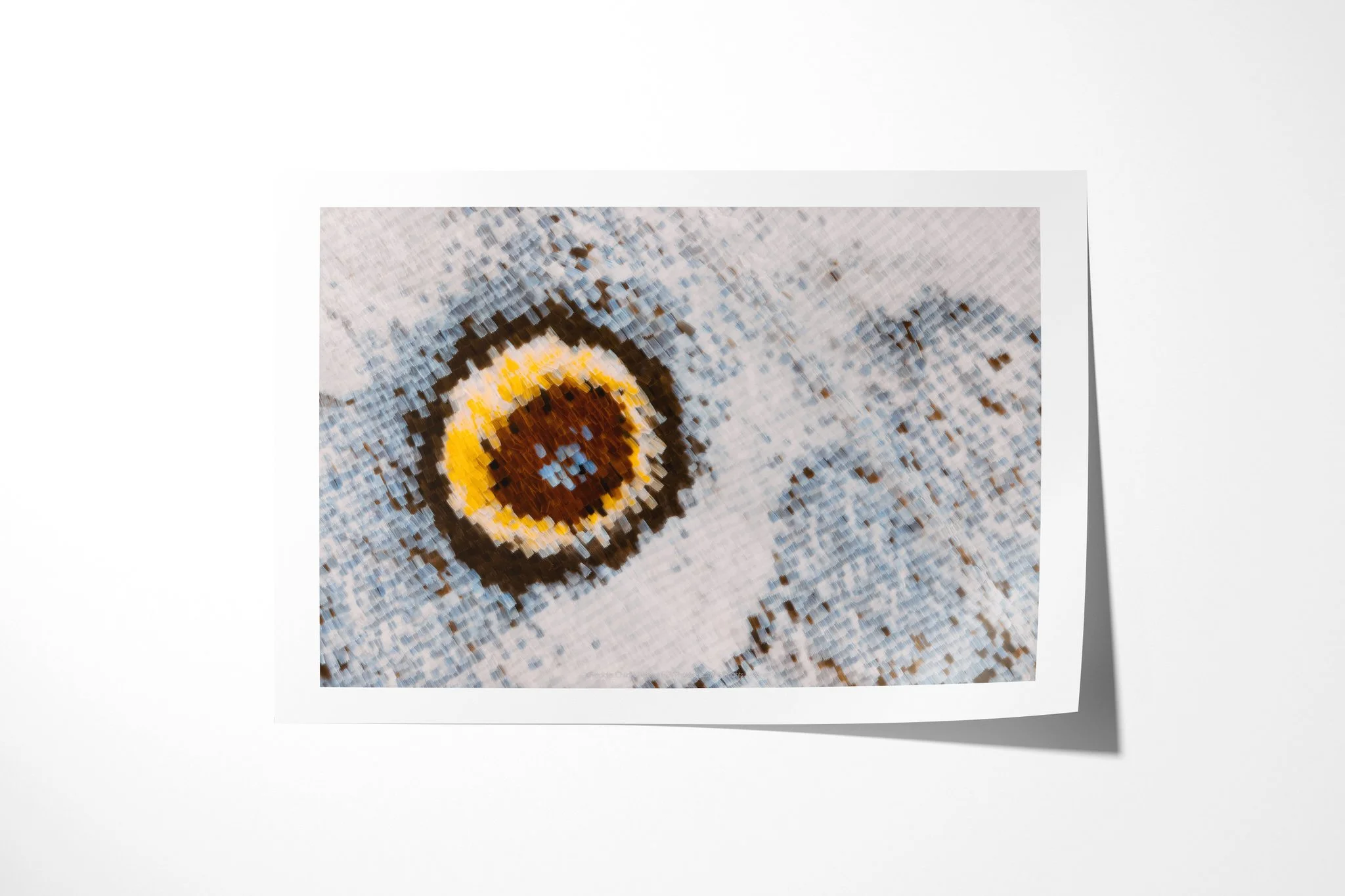Fine art paper print of Salamis anacardii duprei - Junoniini Tribe IV, showing a yellow-ringed brown eyespot with blue-white flecks on pale silver-blue wing scales.