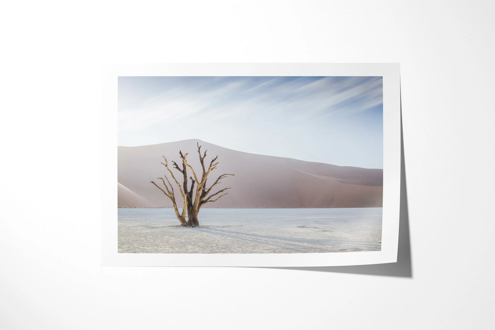 Unframed fine art paper print of Deadvlei, showing a dead tree on the pale Deadvlei clay pan before a vast desert dune under streaked clouds.
