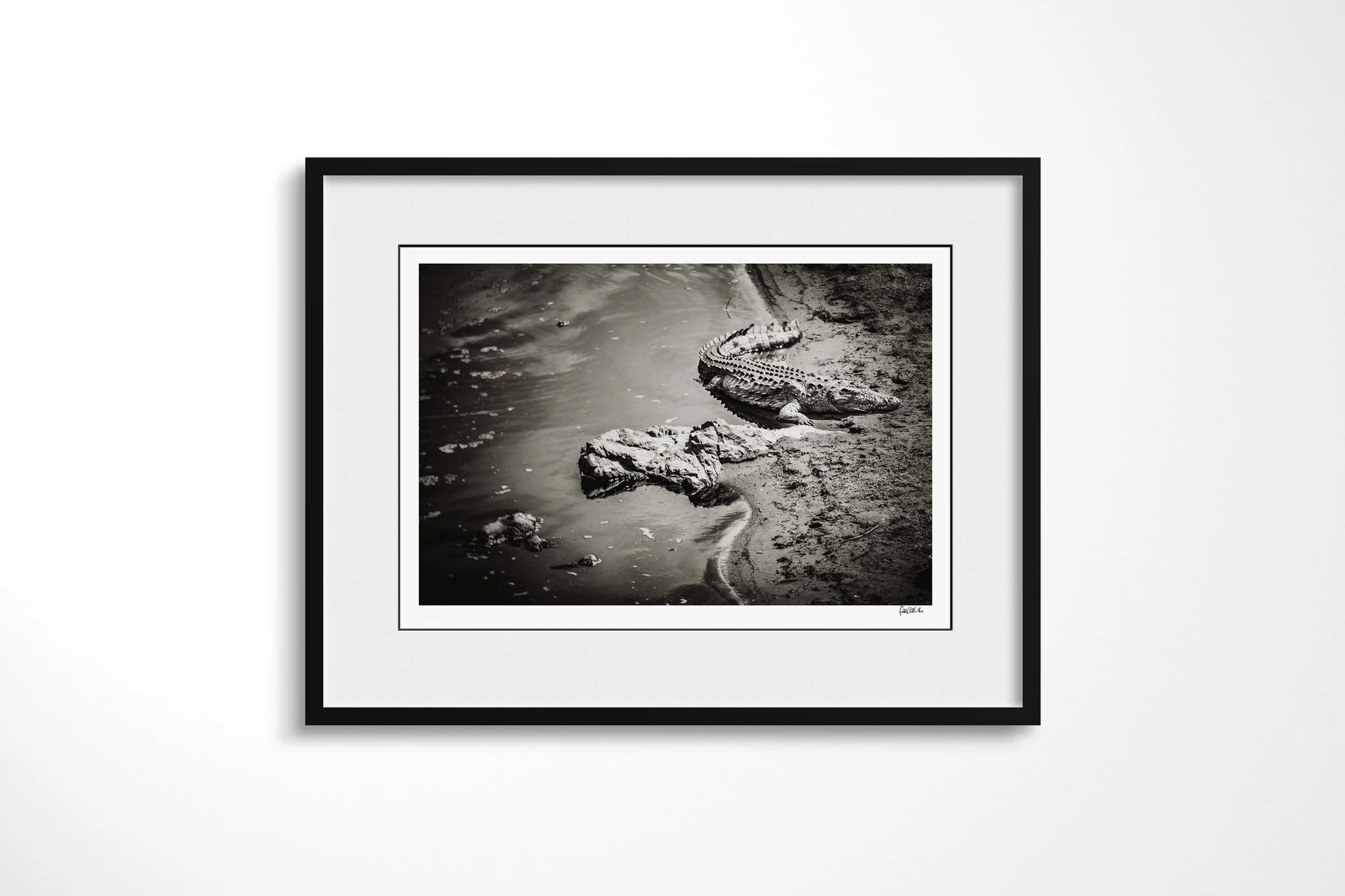 Framed presentation of See You In A While with a white mount and black frame, a lone crocodile lying along a muddy water edge