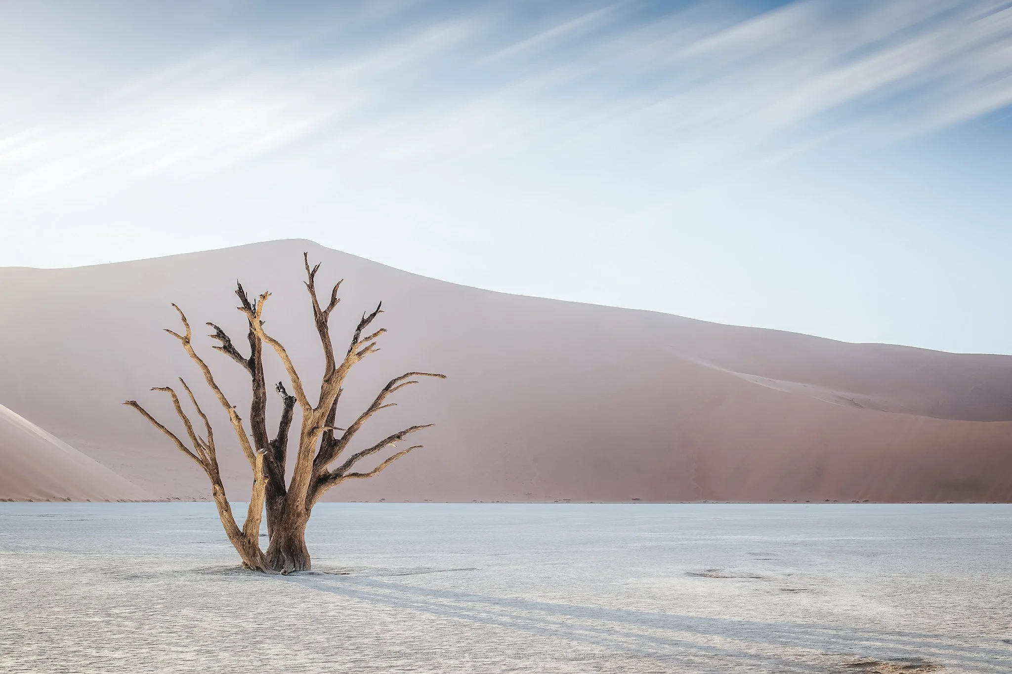 Dead tree on the pale Deadvlei clay pan before a vast desert dune under streaked clouds.