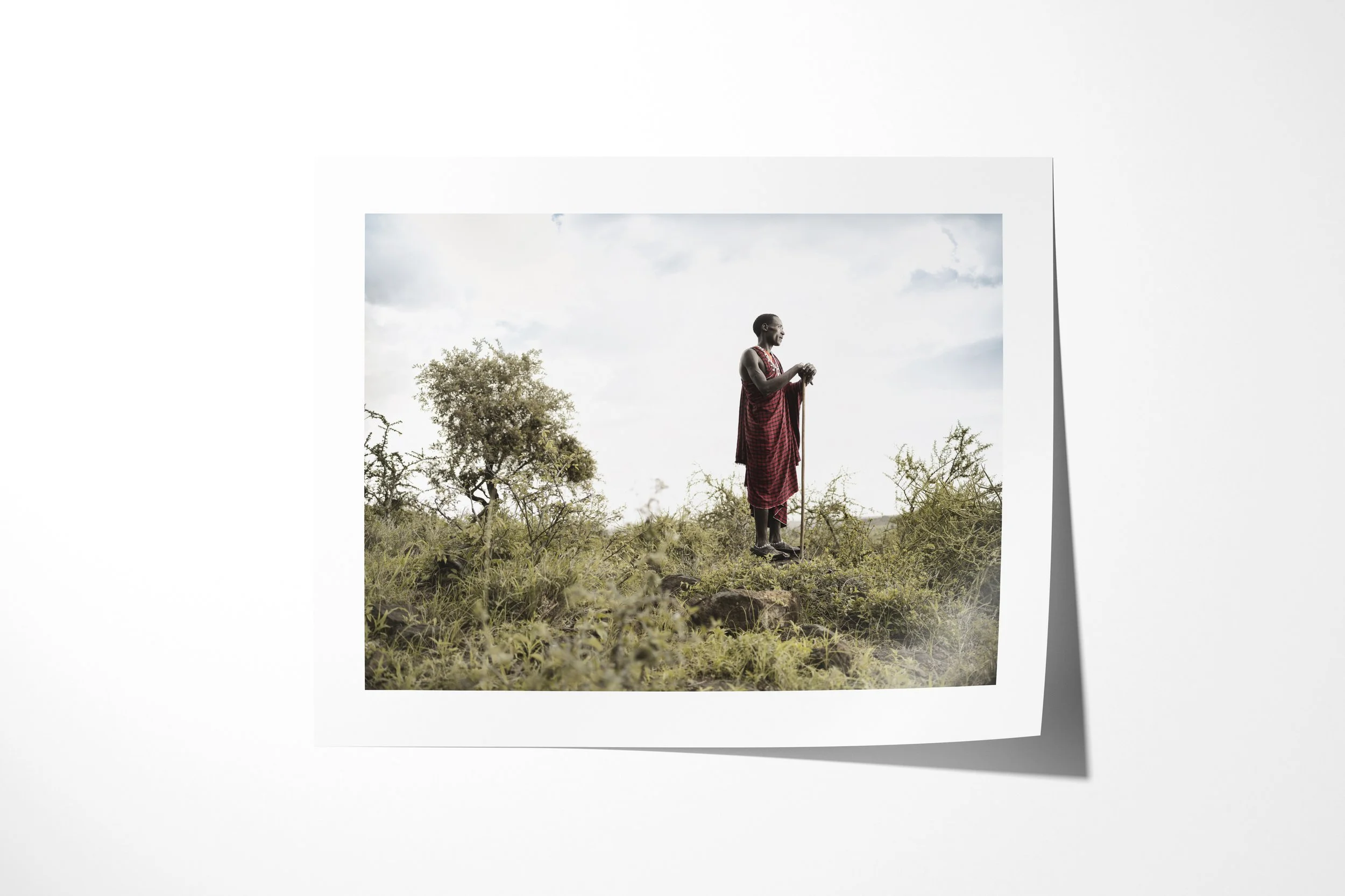 Fine art paper print of Loboe, showing a Maasai man with a staff standing on a low rise amid dense green scrub.