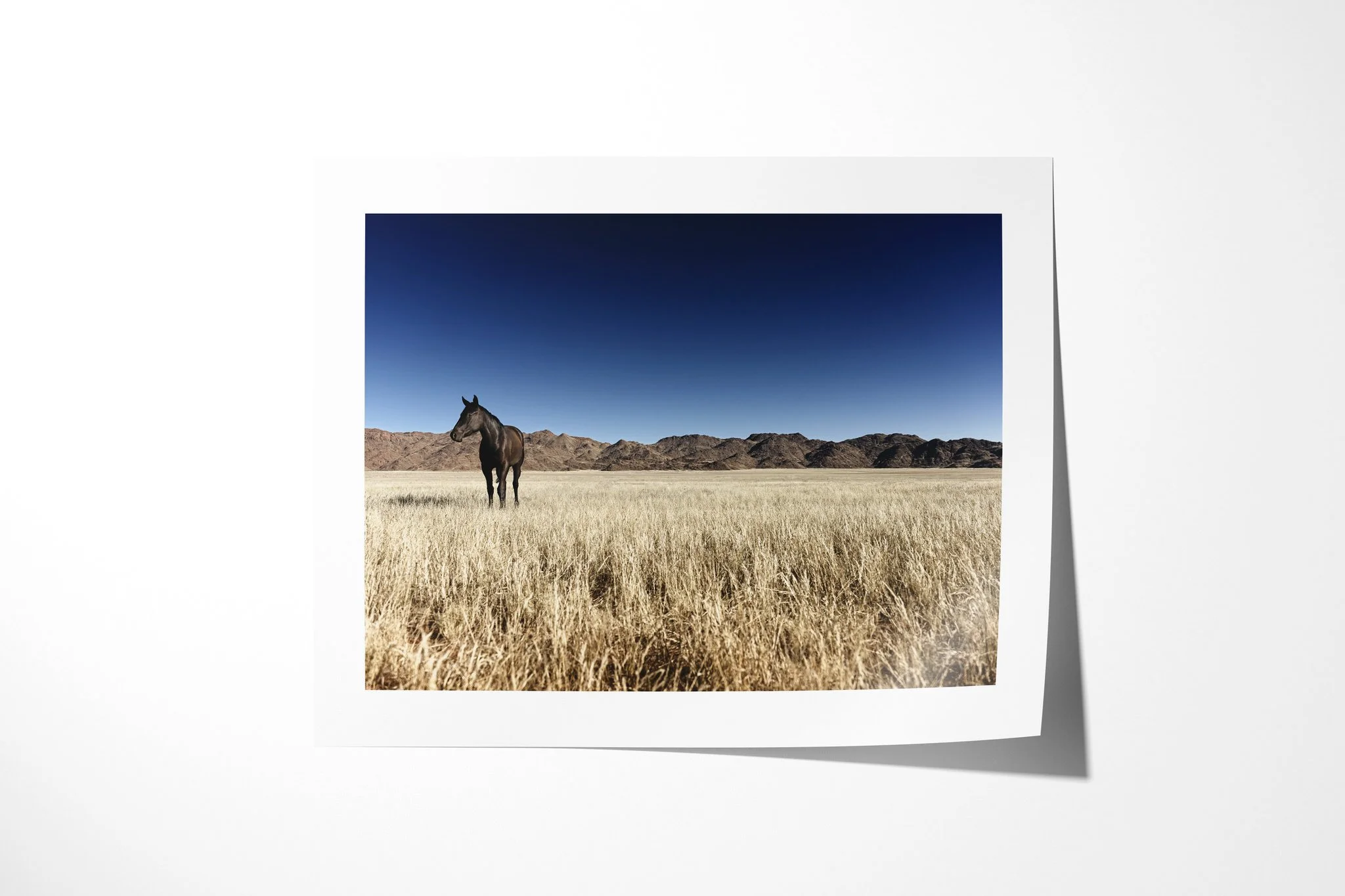 Fine art paper presentation of Wild Horse, depicting a lone dark horse standing in pale dry grass before rugged arid mountains beneath a deep blue sky.