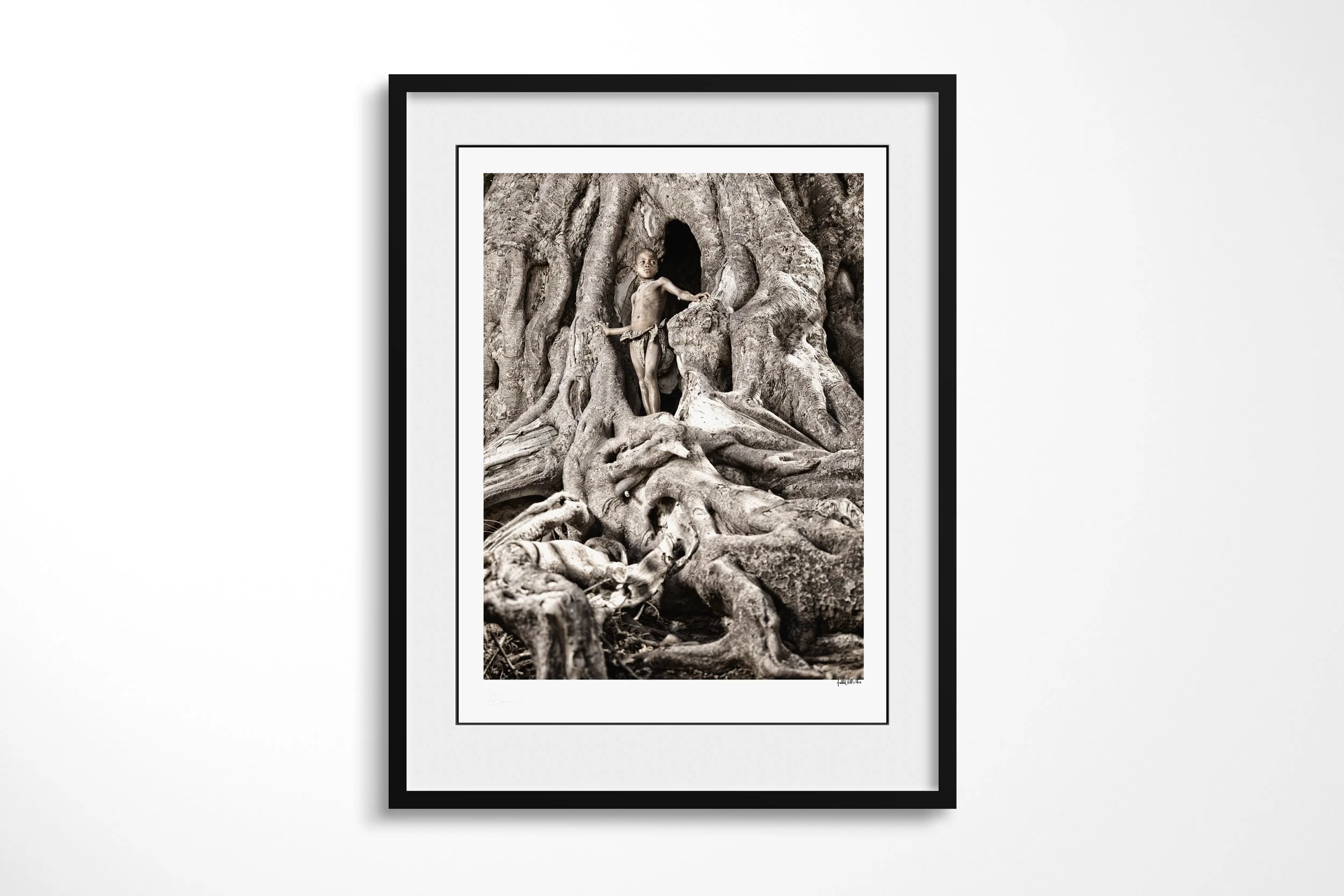 Framed presentation of Kakoke II in a black frame and white mount, showing Kakoke framed by a dark opening among the exposed roots of an old fig tree.