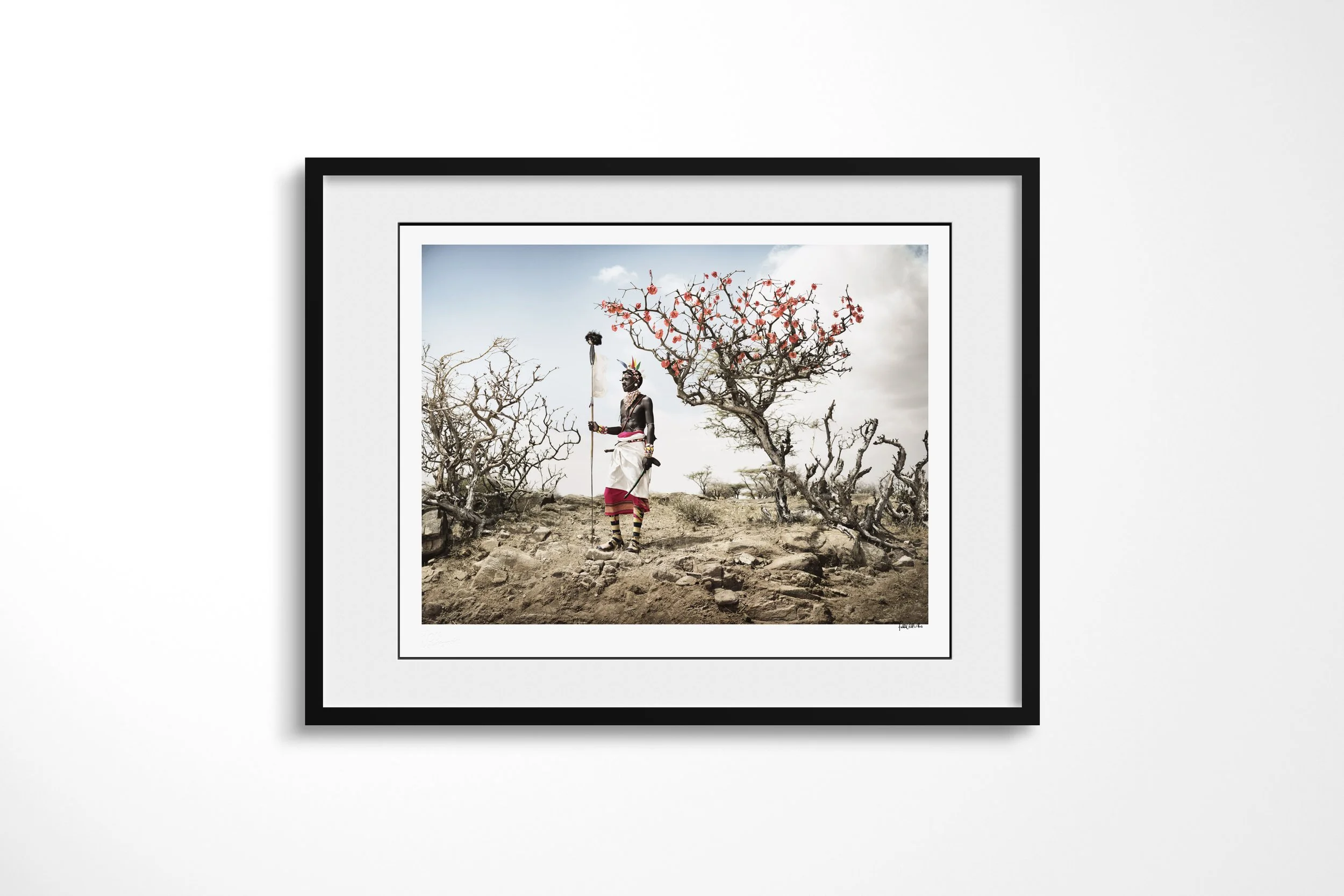 Framed presentation of Lolegasi - “The Desert Rose” in a black frame and white mount, showing a Samburu warrior holding a staff beside a flowering desert rose in a dry rocky landscape.