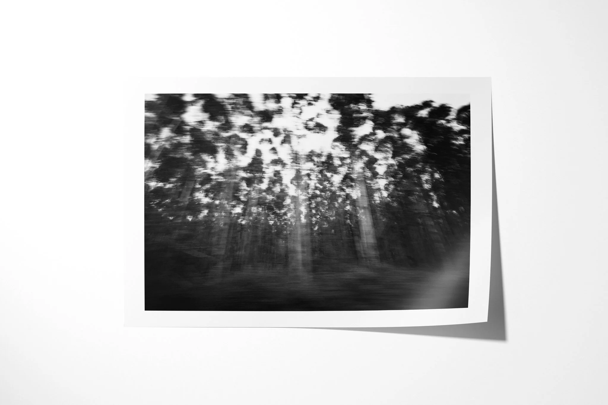 Fine art paper presentation of Sappi, depicting tall forest trees rendered as dense black-and-white streaks by strong lateral motion blur.