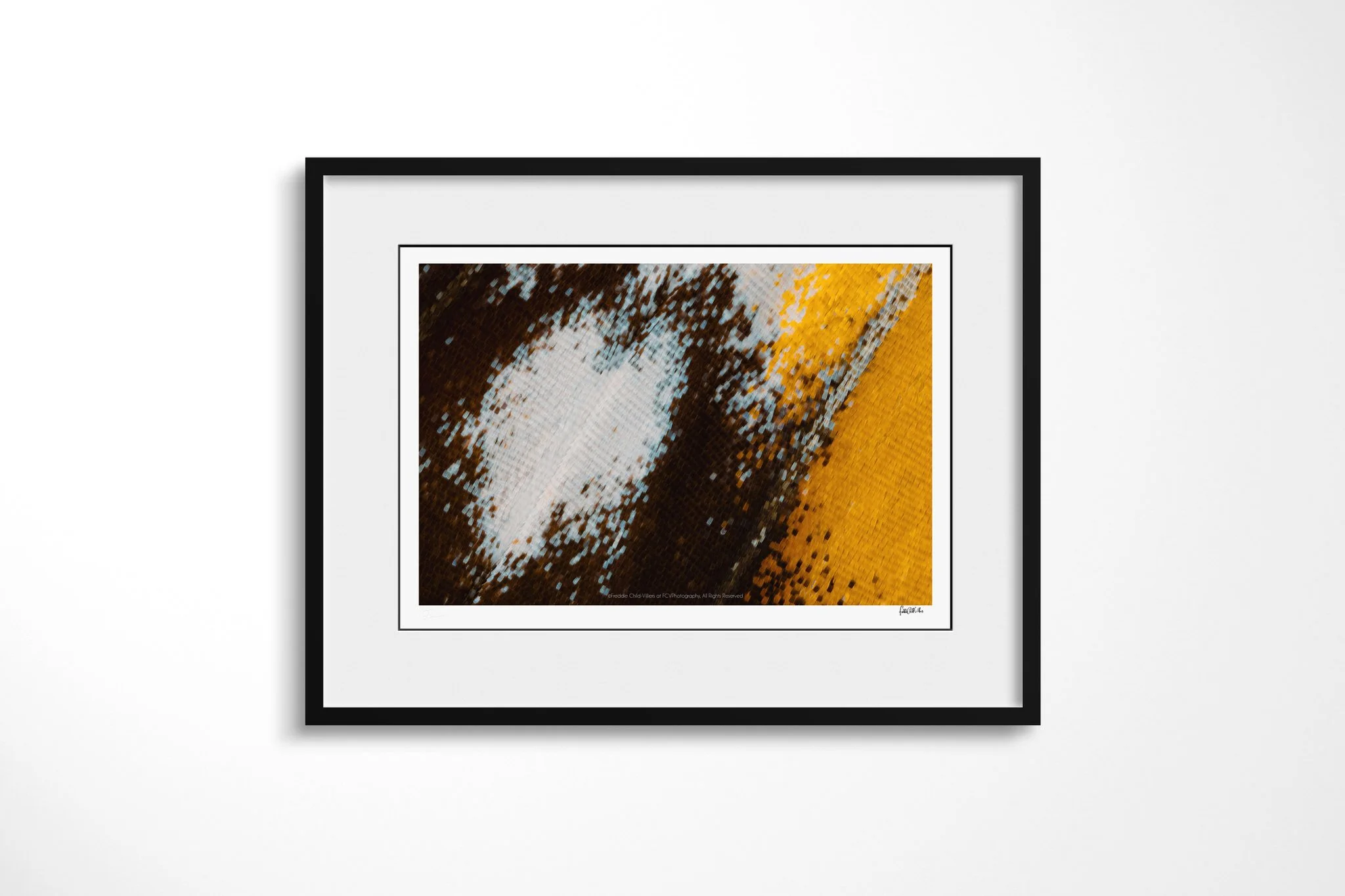 Black-framed presentation of Cymothoe beckeri - Cymothoe Tribe II with a white mount, showing a pale blue-white oval within dark brown wing scales beside a saturated yellow edge.