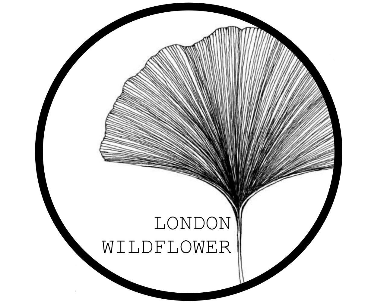 London Wildflower