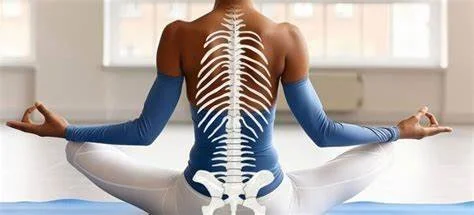 Yoga for the Spine
