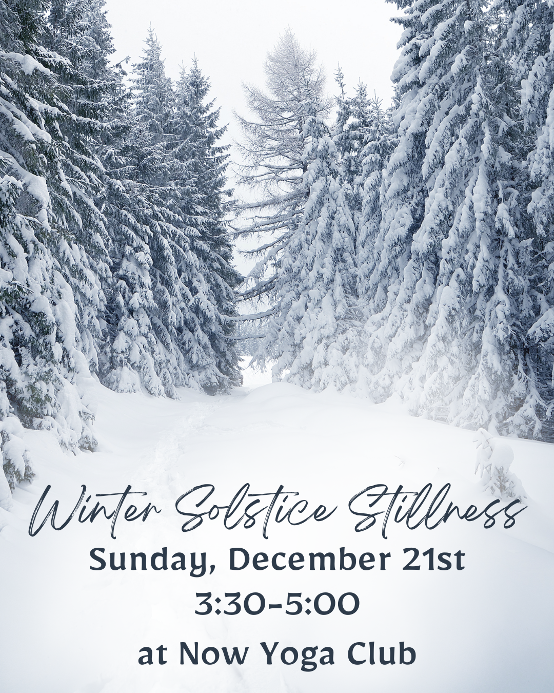 Winter Solstice Stillness