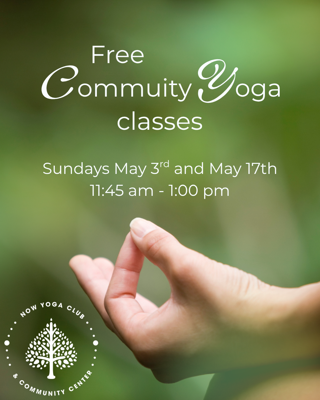 Free Community Yoga Class