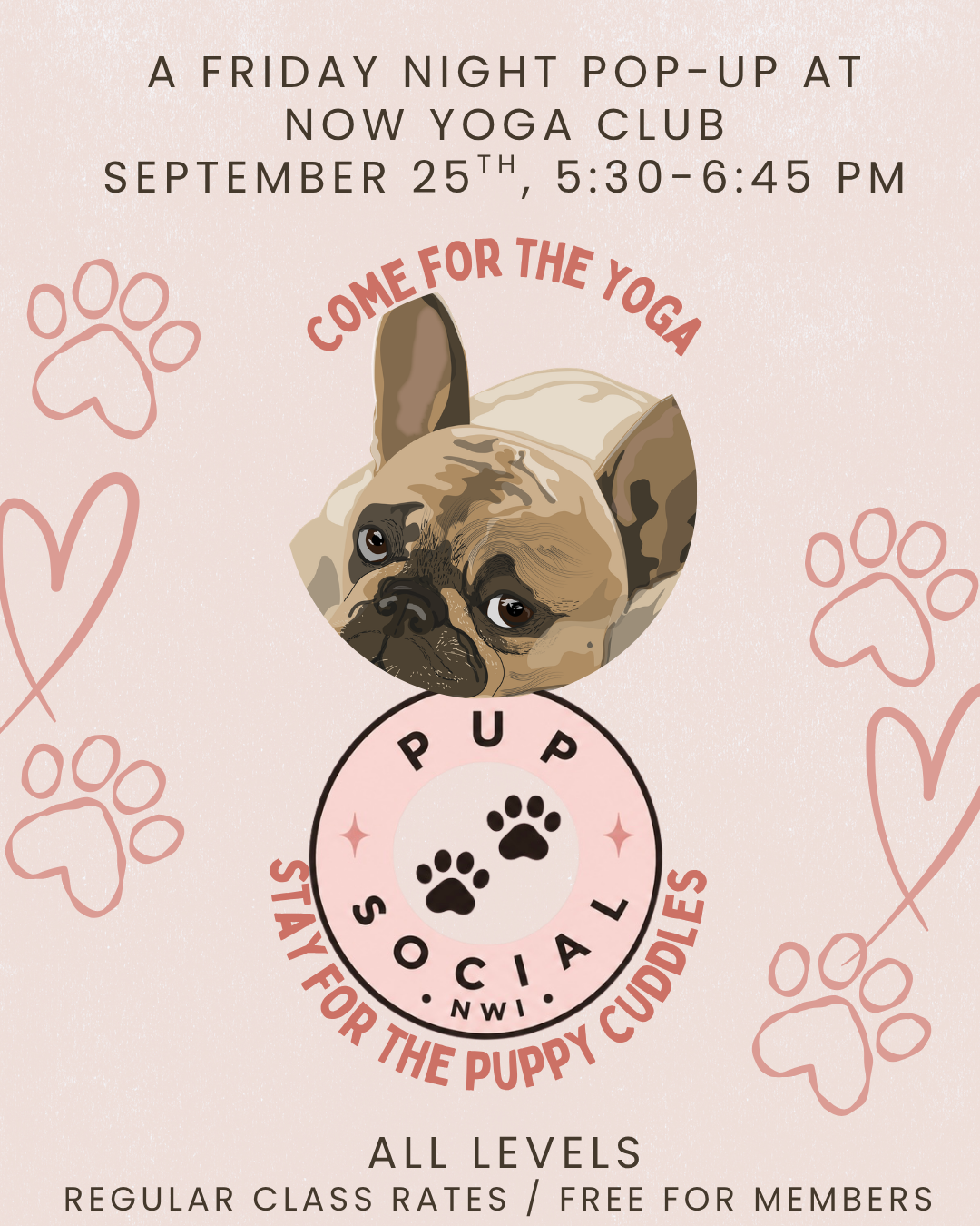 Puppies and Yoga with Pup Social 219