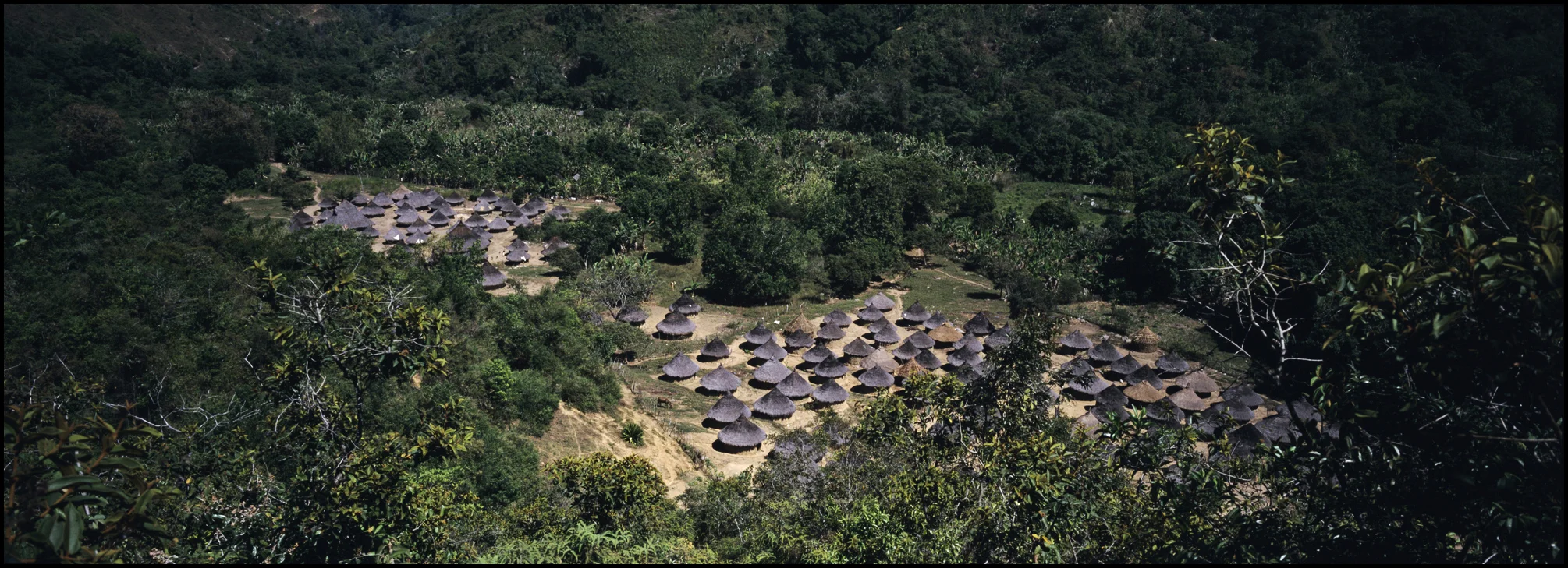 3_kogi pano.jpg