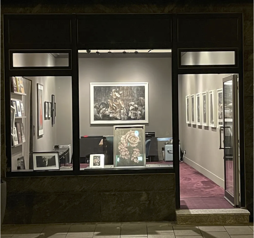 Ira Stehmann Fine Art