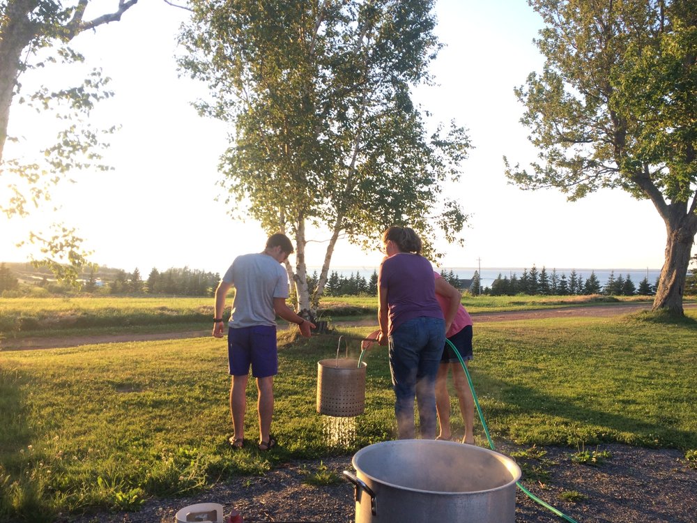 lobster boil.jpg