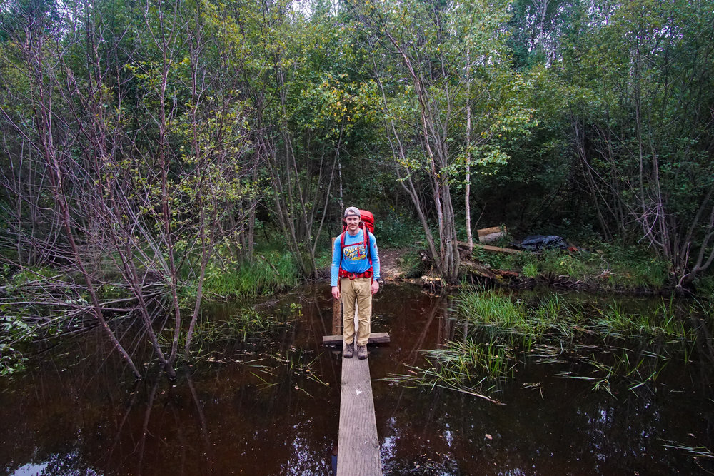  New wood bridges over beaver ponds 